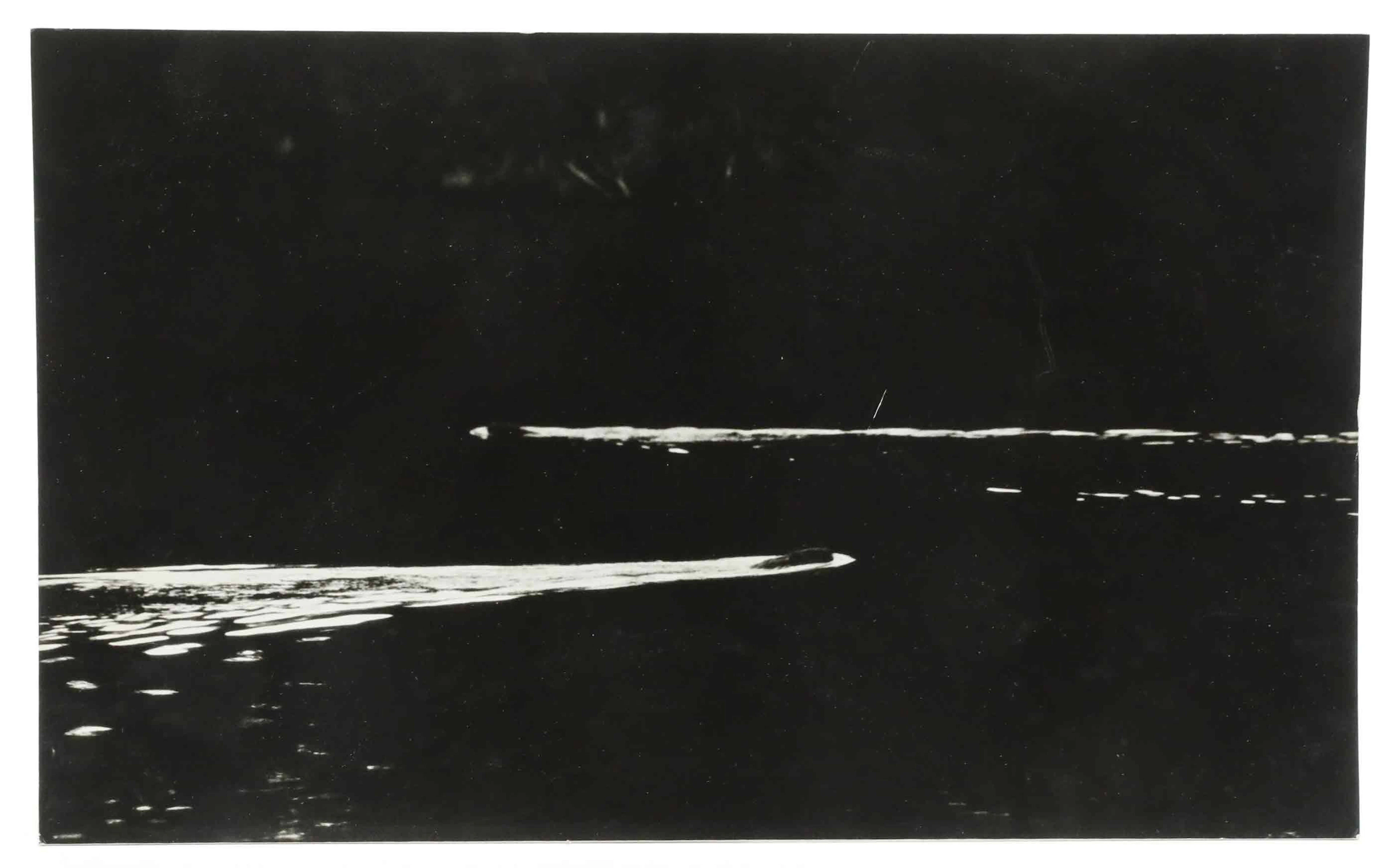 SVEN GILLSÄTER (1921-2001). Fotografi, bävrar i damm, 1970-tal.