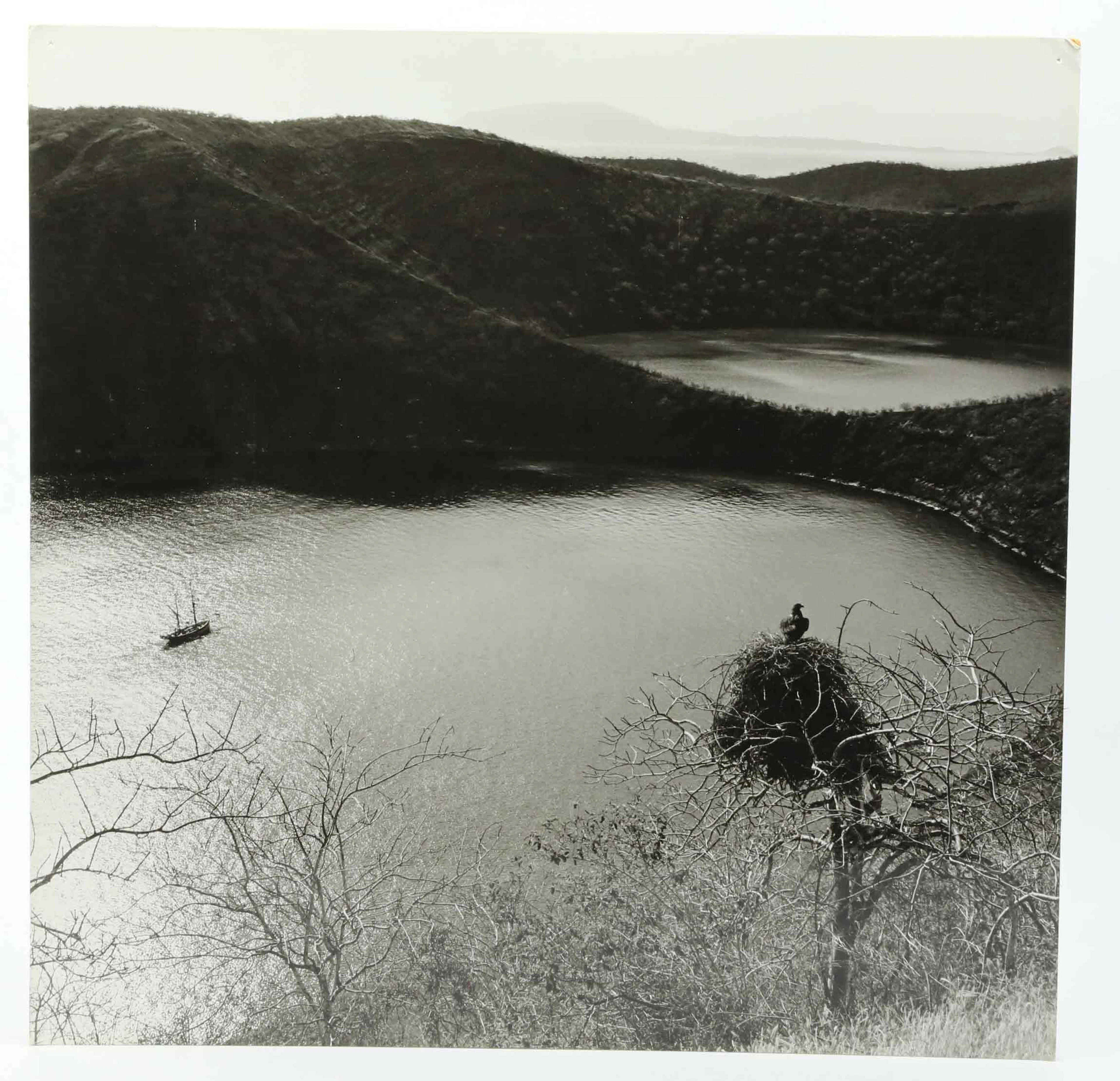 SVEN GILLSÄTER (1921-2001). fotografi, Rovfågel & segelbåt, 1900-talets mitt.