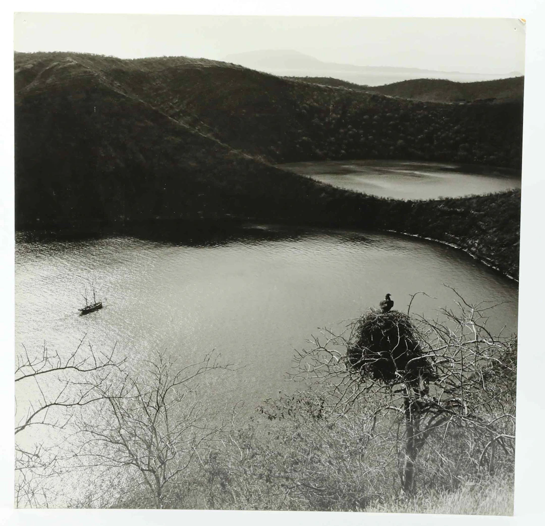 SVEN GILLSÄTER (1921-2001). fotografi, Rovfågel & segelbåt, 1900-talets mitt.