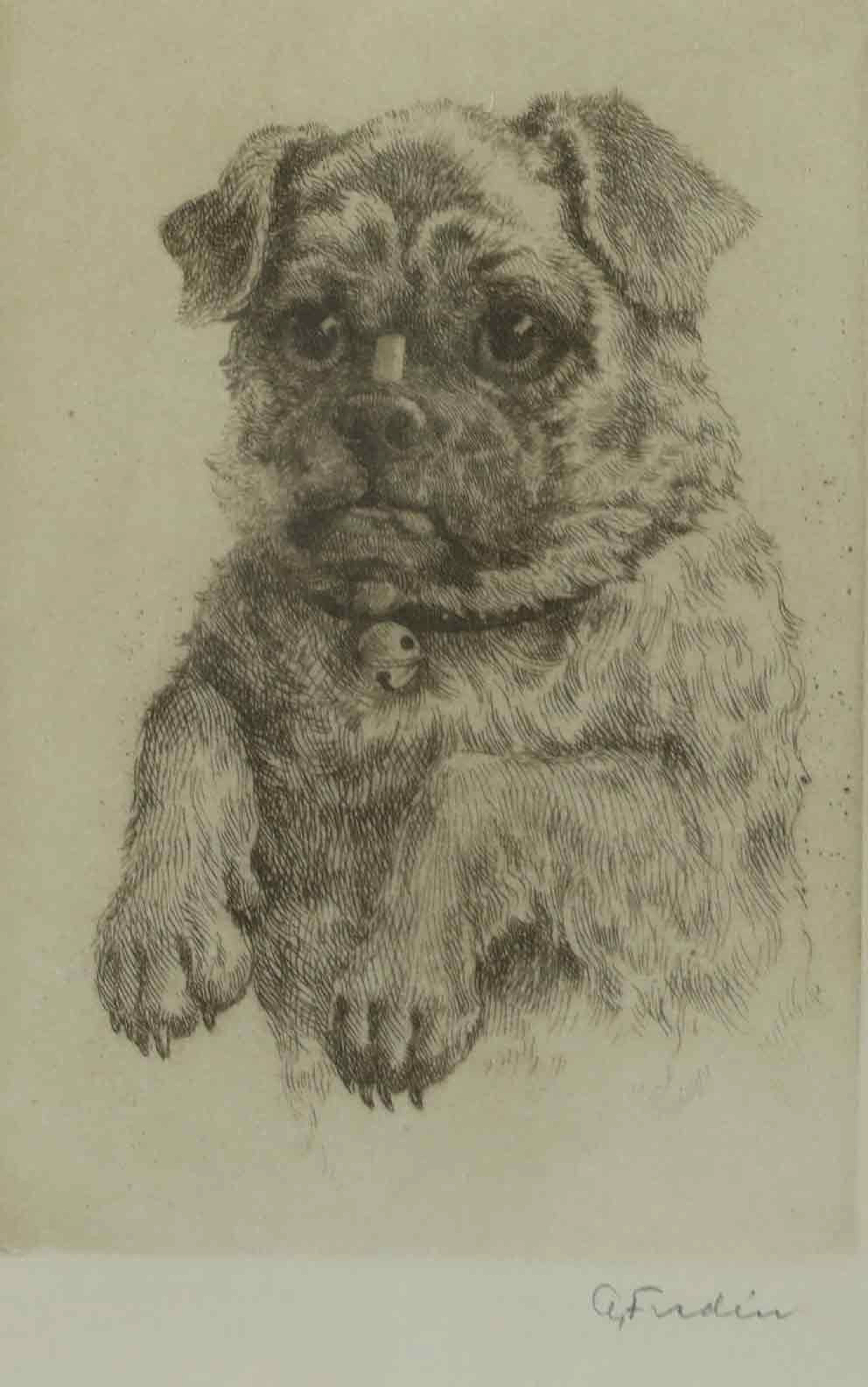 OIDENTIFIERAD KONSTNÄR. Etsning, hundporträtt, signerad.