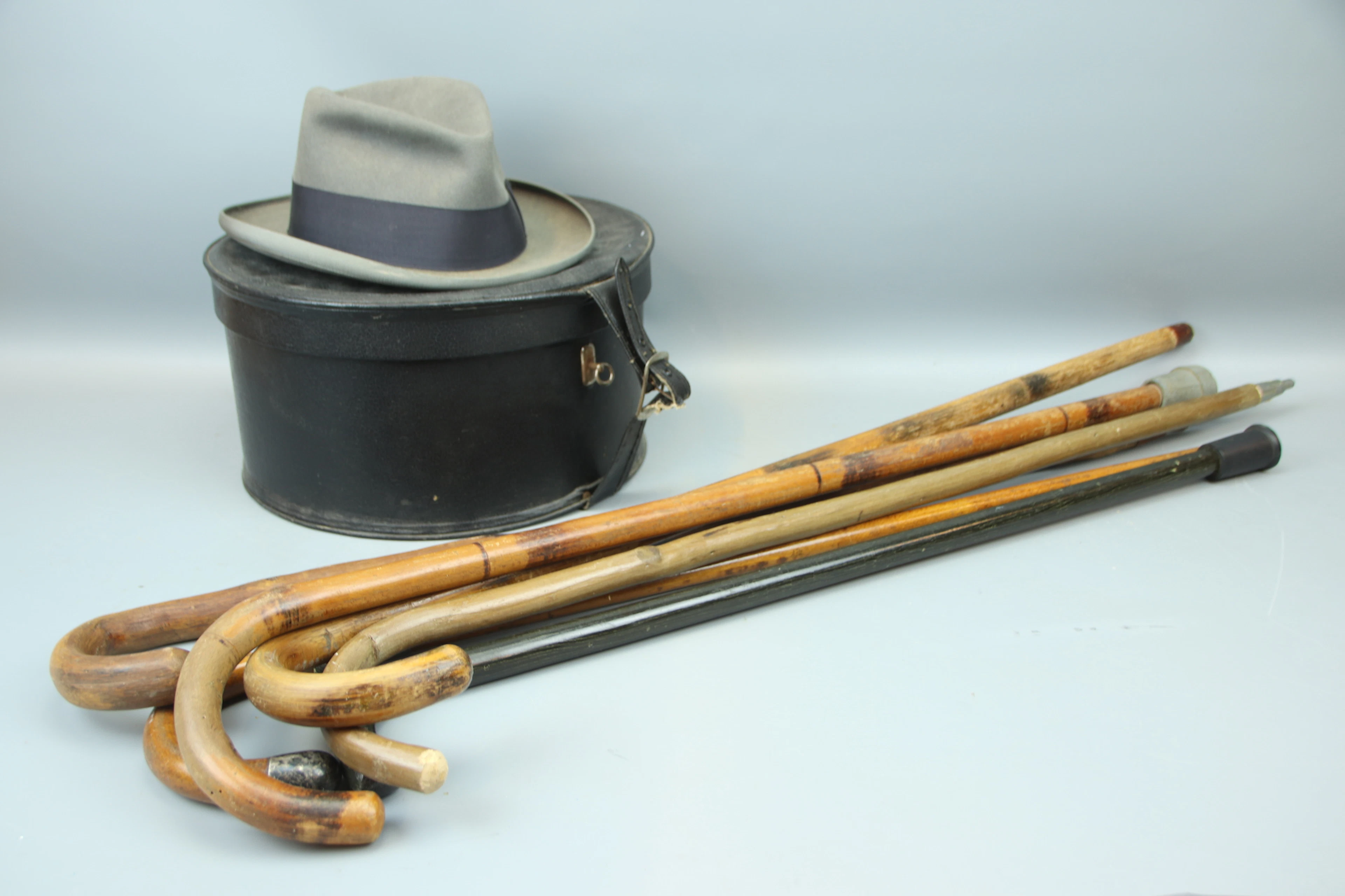 Canes, 6 pcs, wooden, and hat, Stetson with hat box.