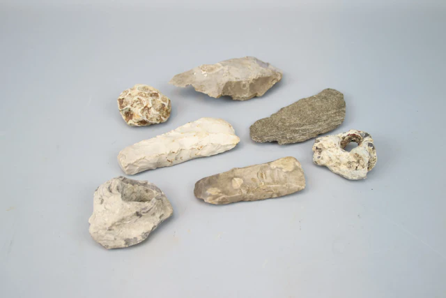 Stone axes & fosil, one lot.