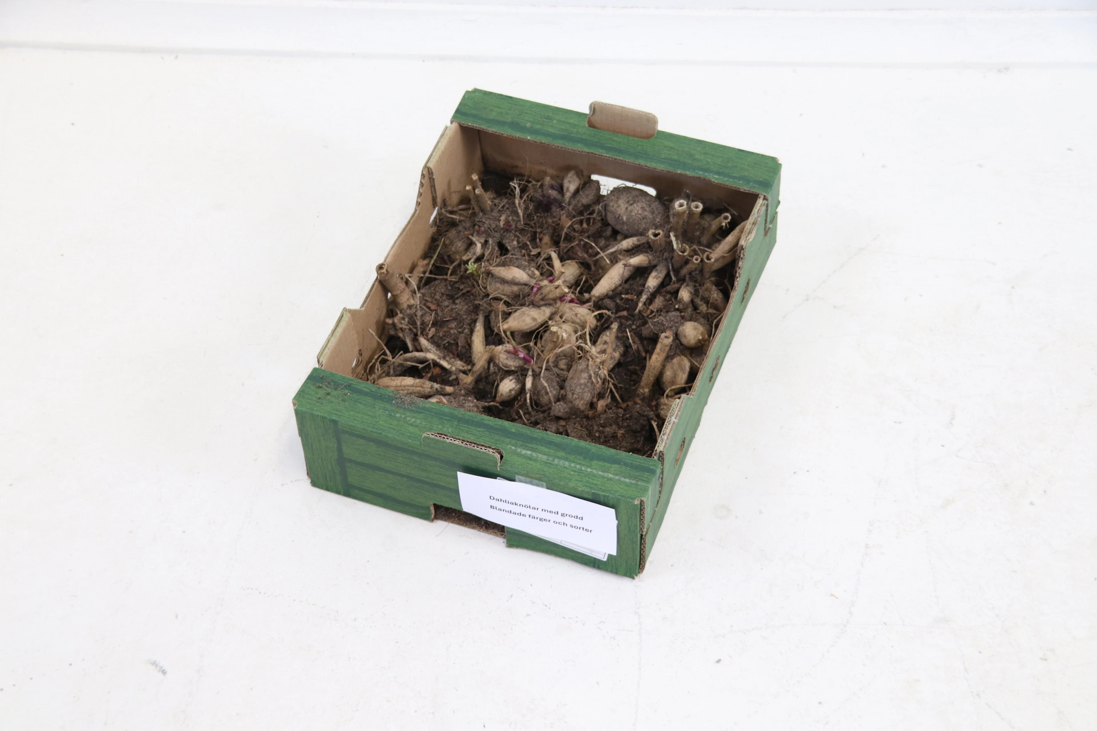 Dahlia tubers, a box, mixed colors and varieties.