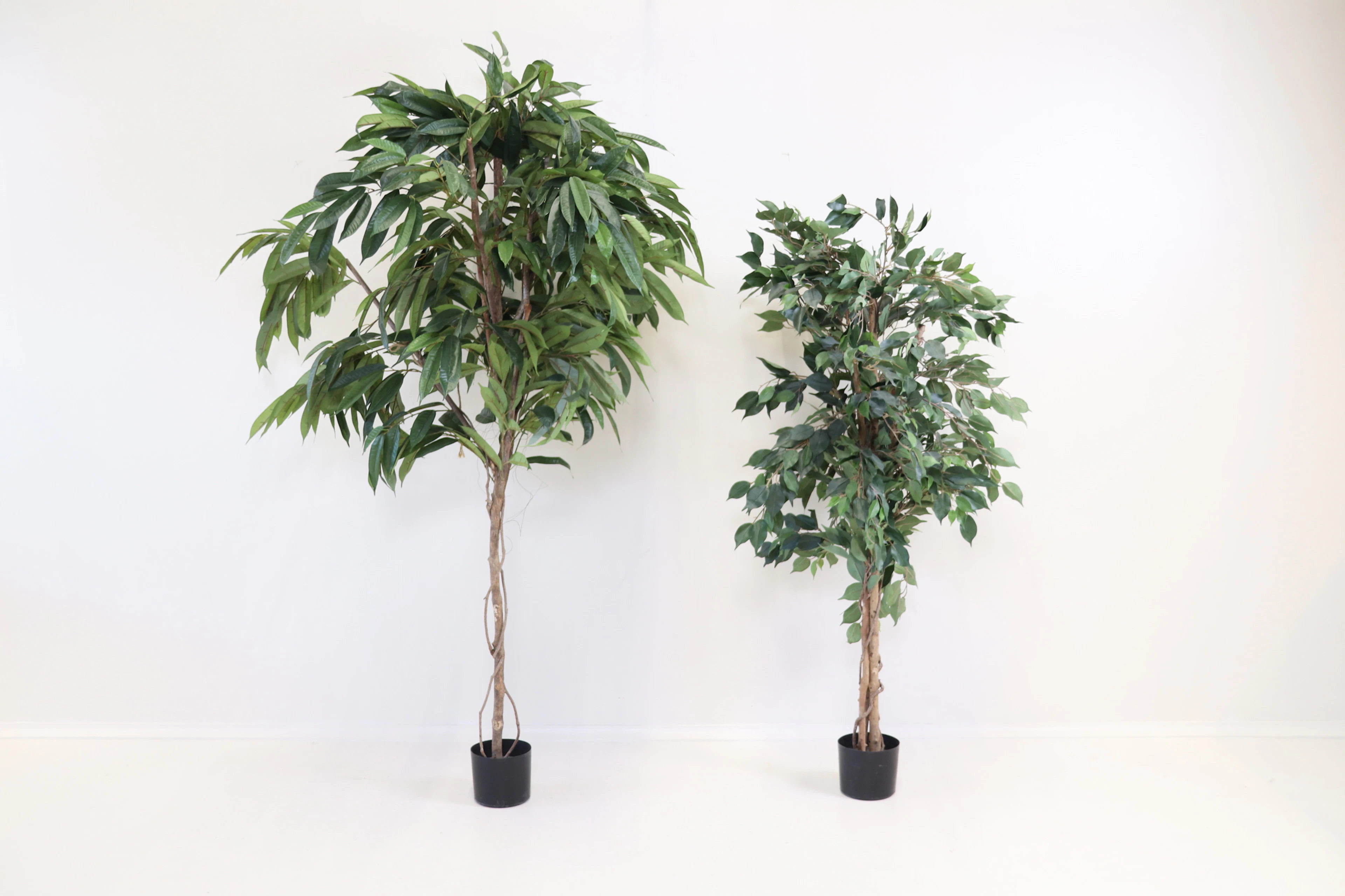 Plantes artificielles, 2 pièces.