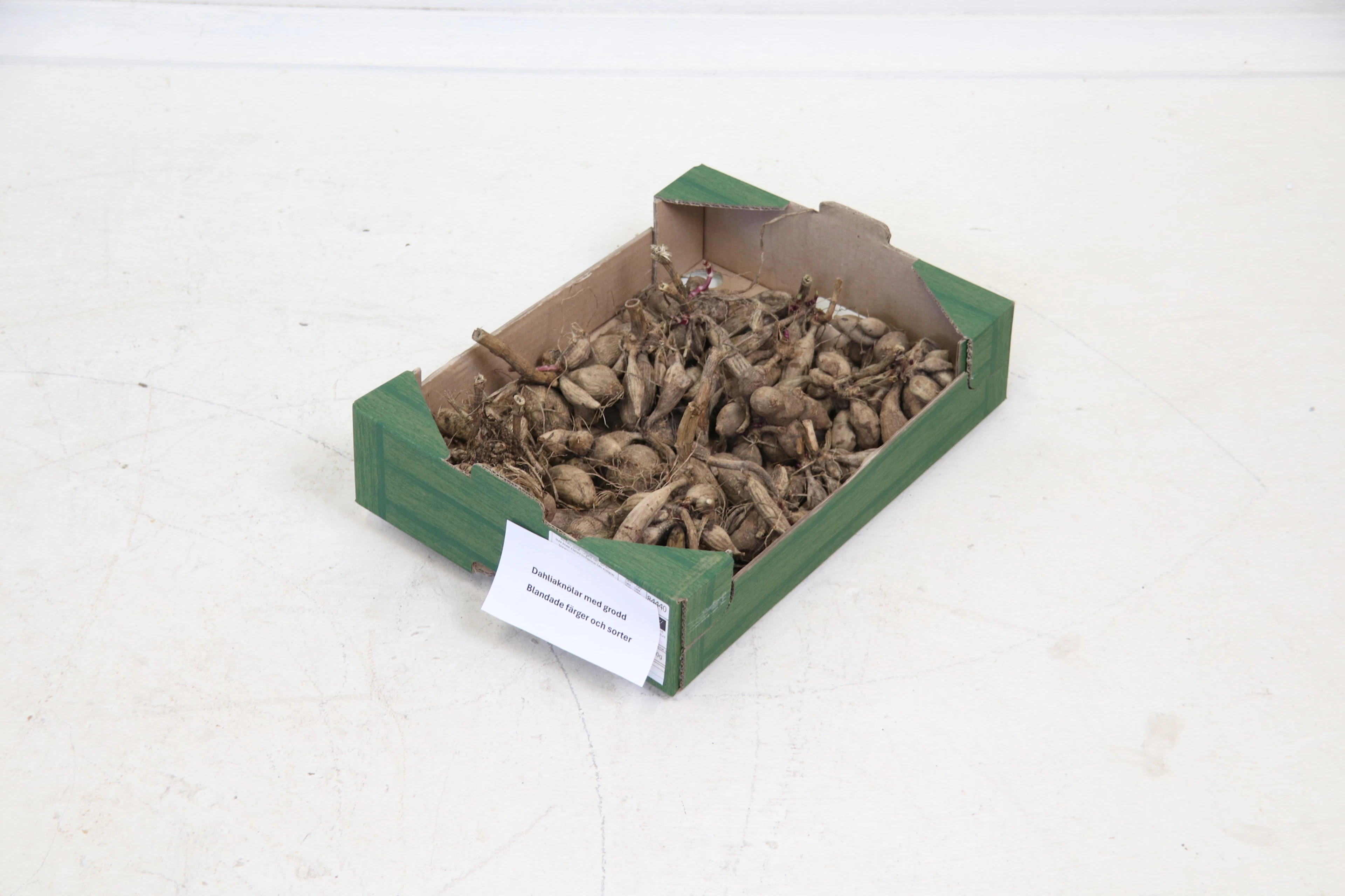 Dahlia tubers, a box, mixed colors and varieties.