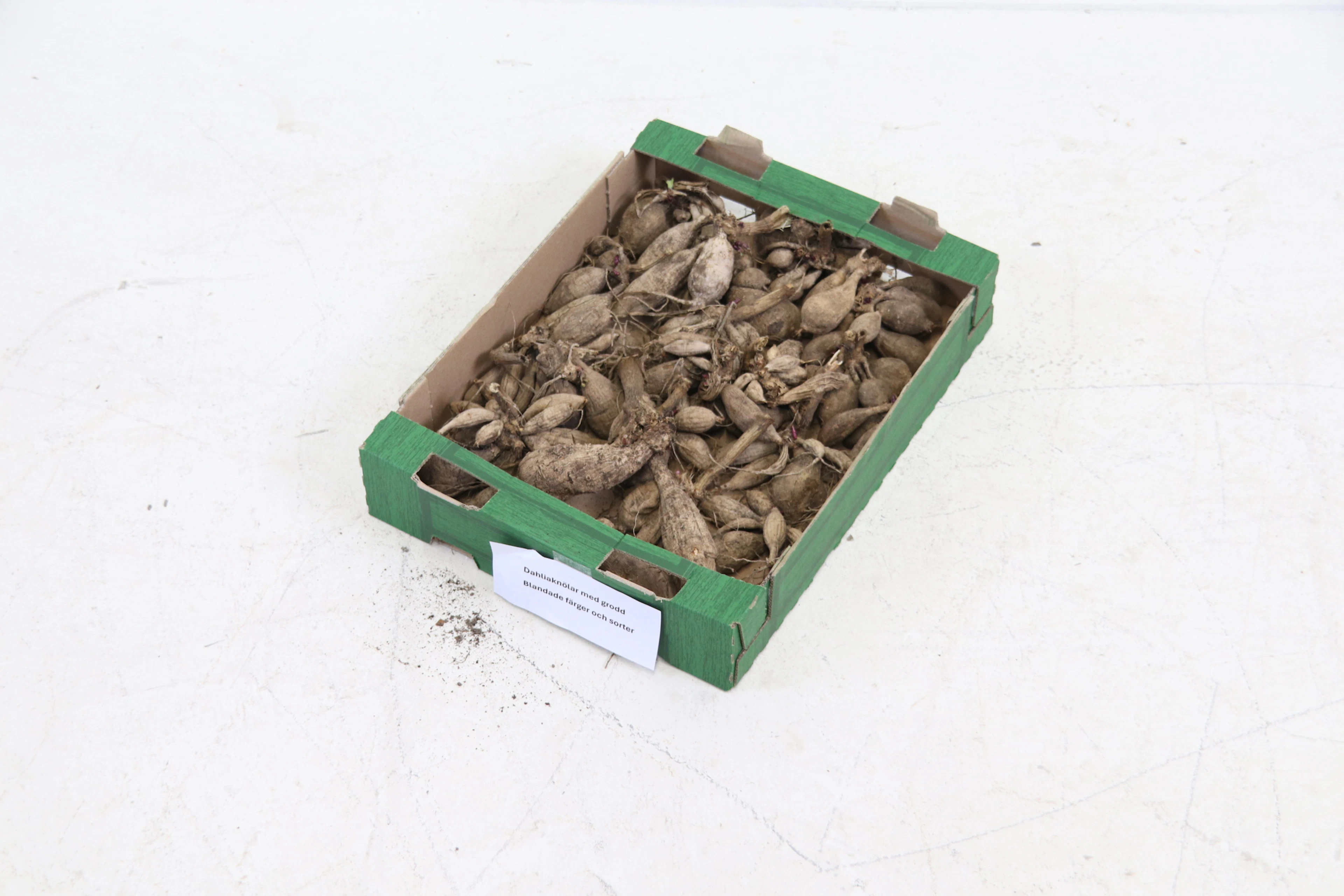 Dahlia tubers, a box, mixed colors and varieties.