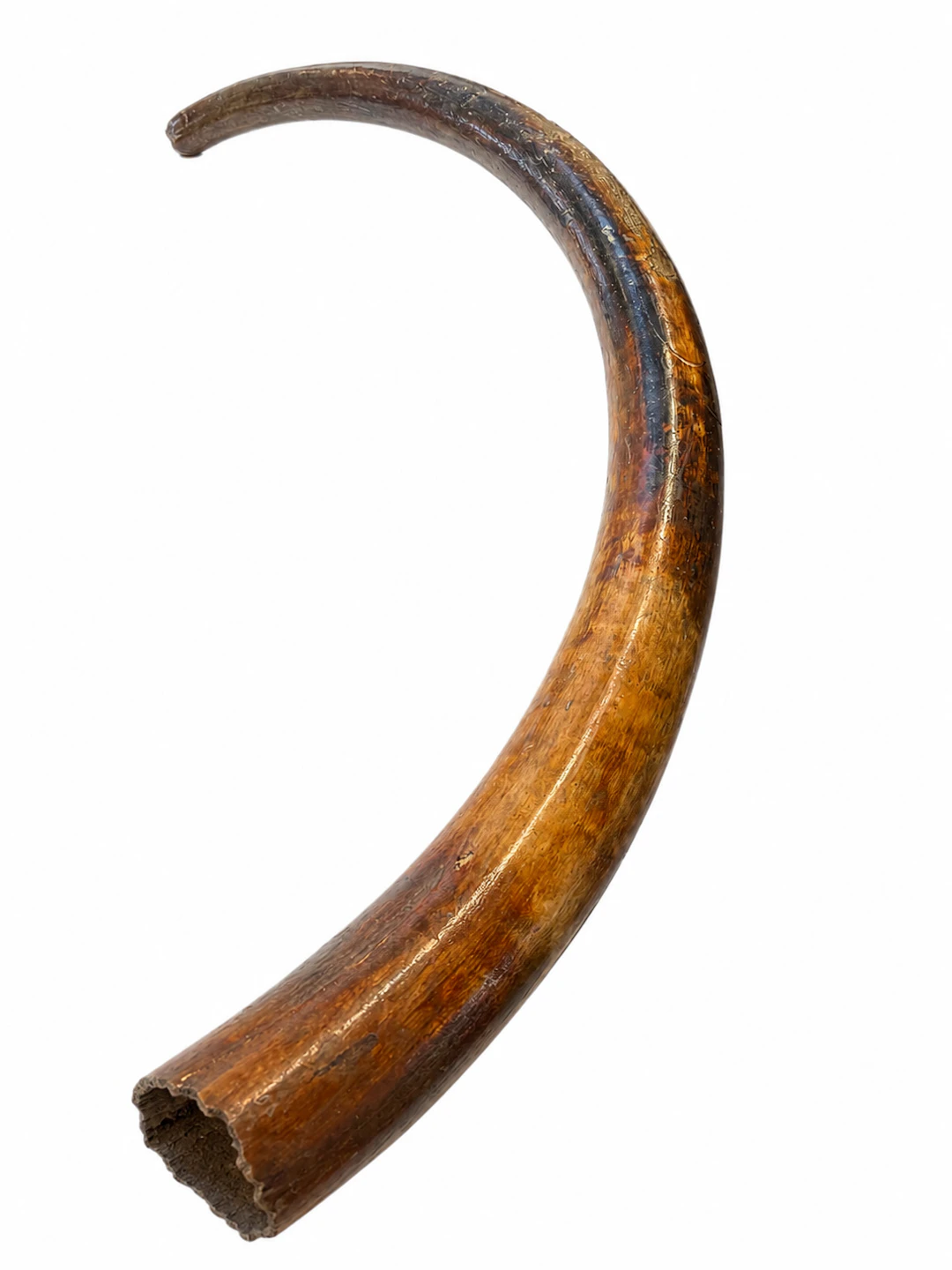 Mammutköder (subfossiler Stoßzahn), Russland.