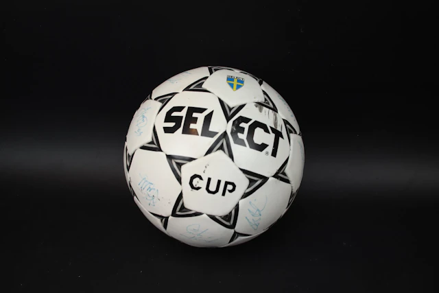 Football, Swedish World Cup squad 1994, signed.