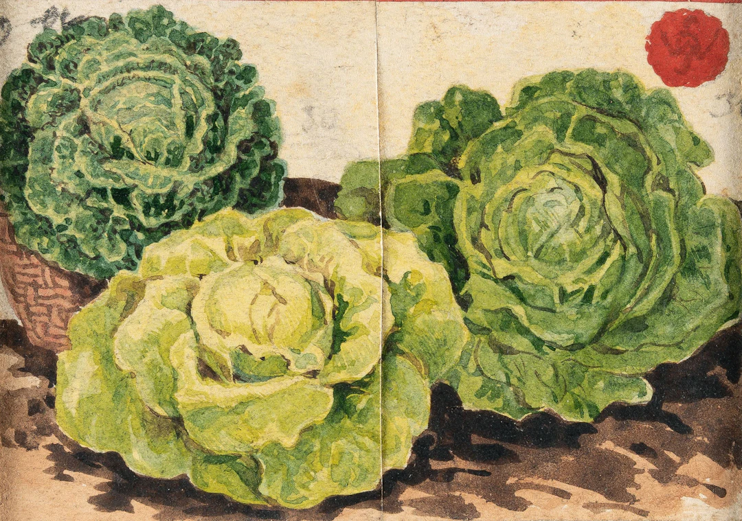 Still life with lettuce heads Österreichisch