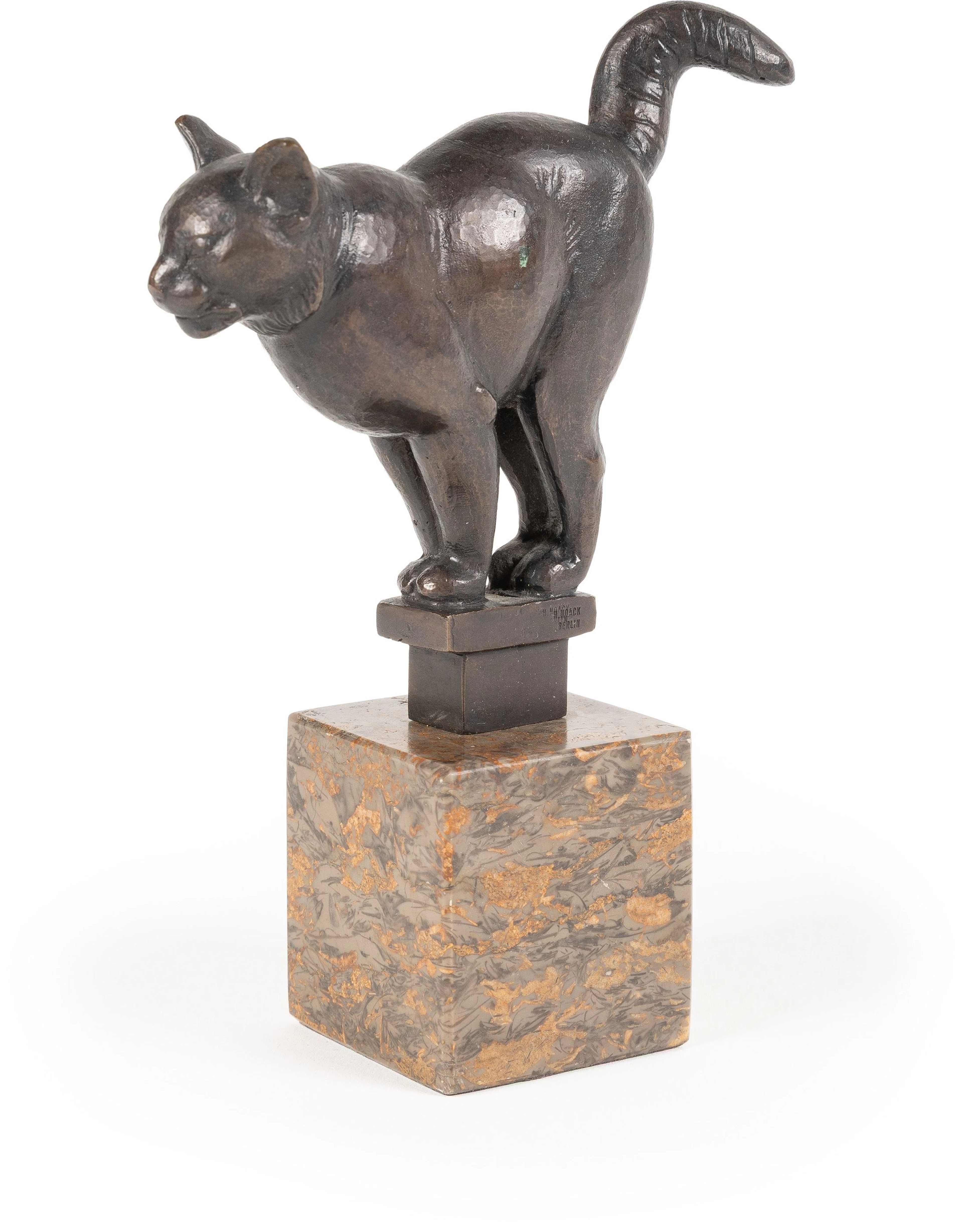 Cat August Gaul