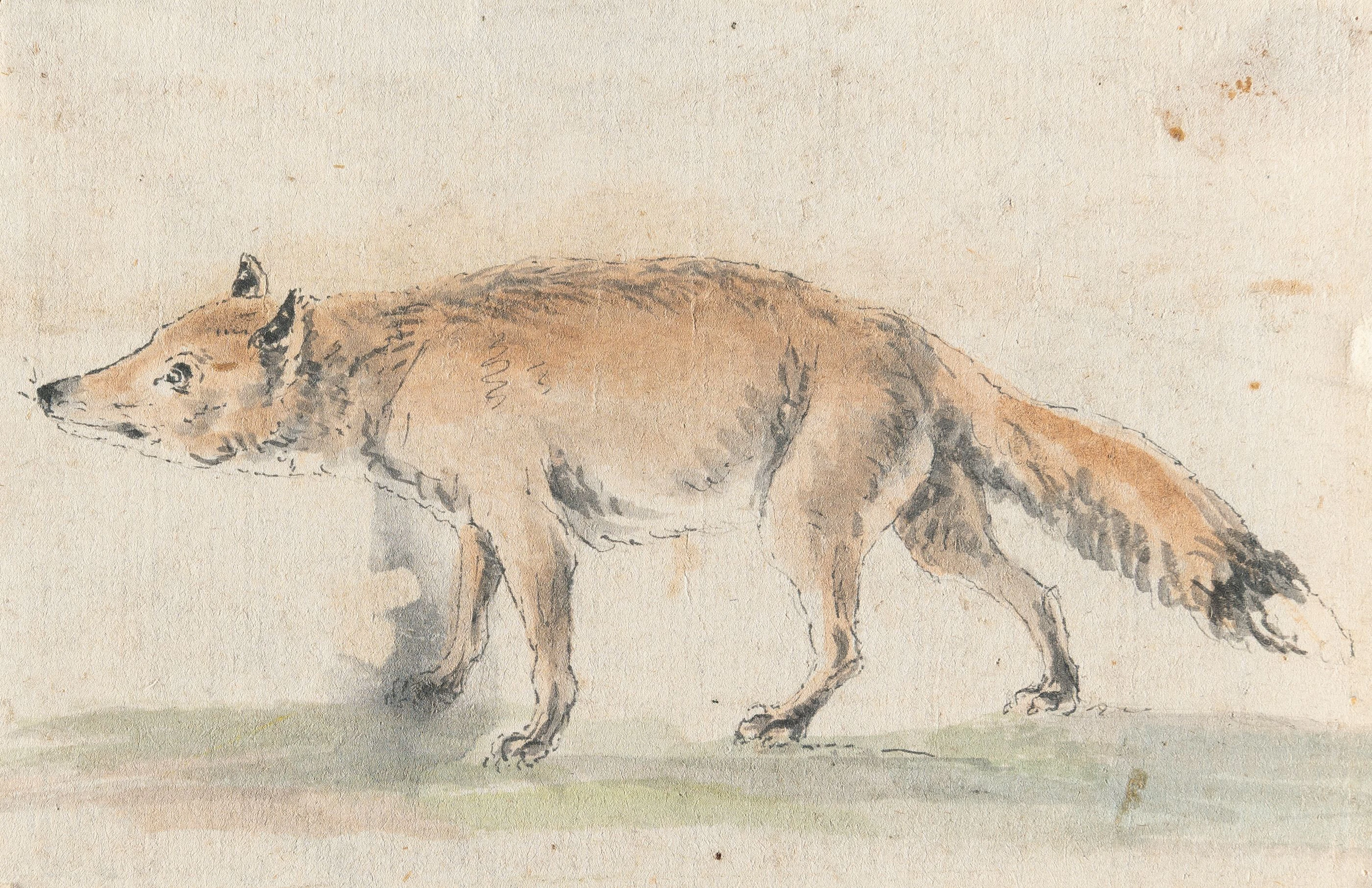 3 sheets: depictions of animals Deutsch