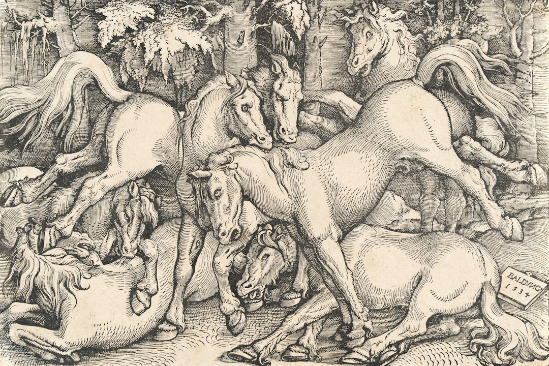 Group of Seven Horses Hans Baldung, Called Grien