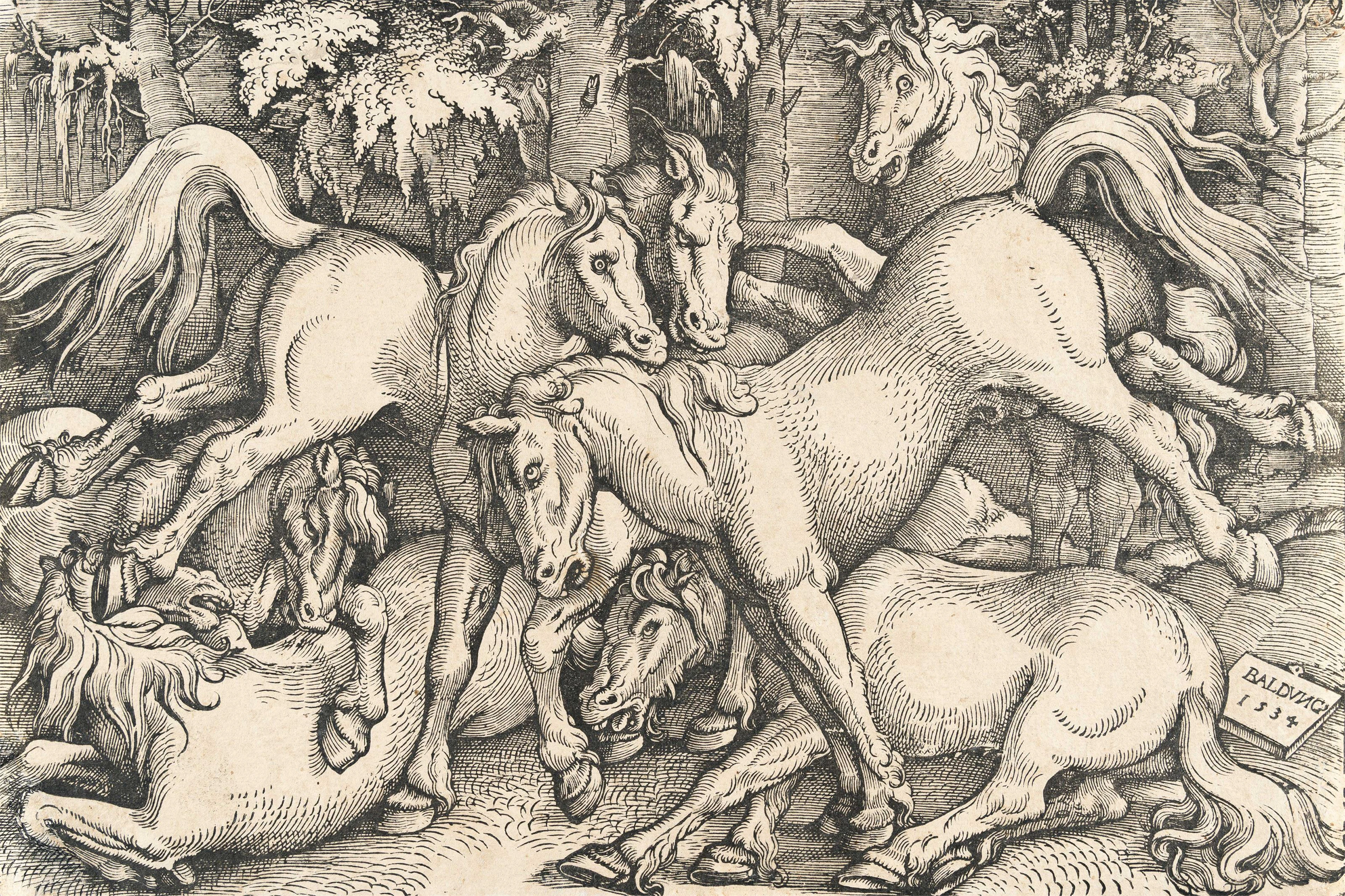 Group of Seven Horses Hans Baldung, Called Grien