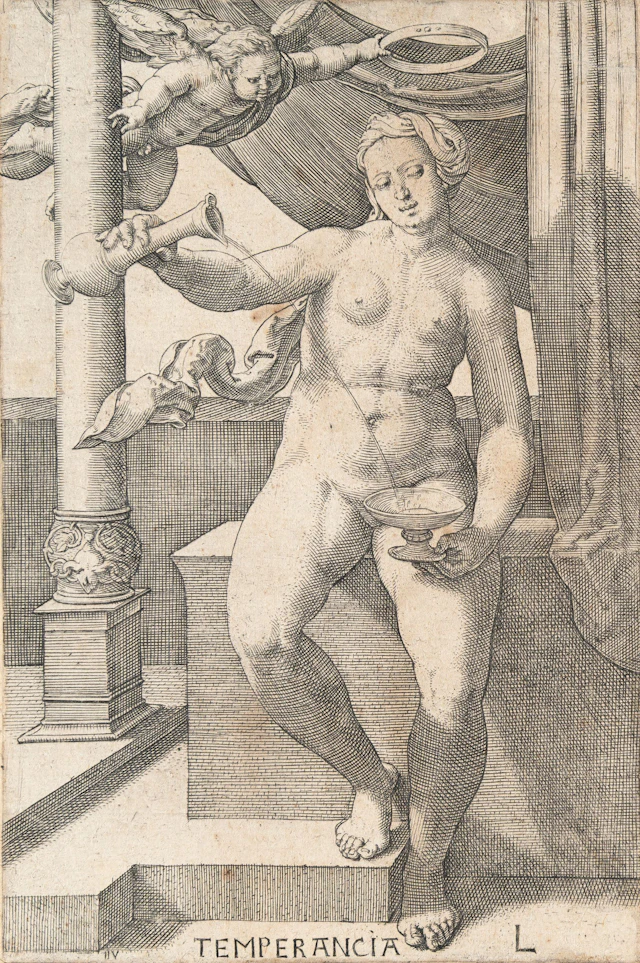 The Complete Set of: The Virtues Lucas van Leyden