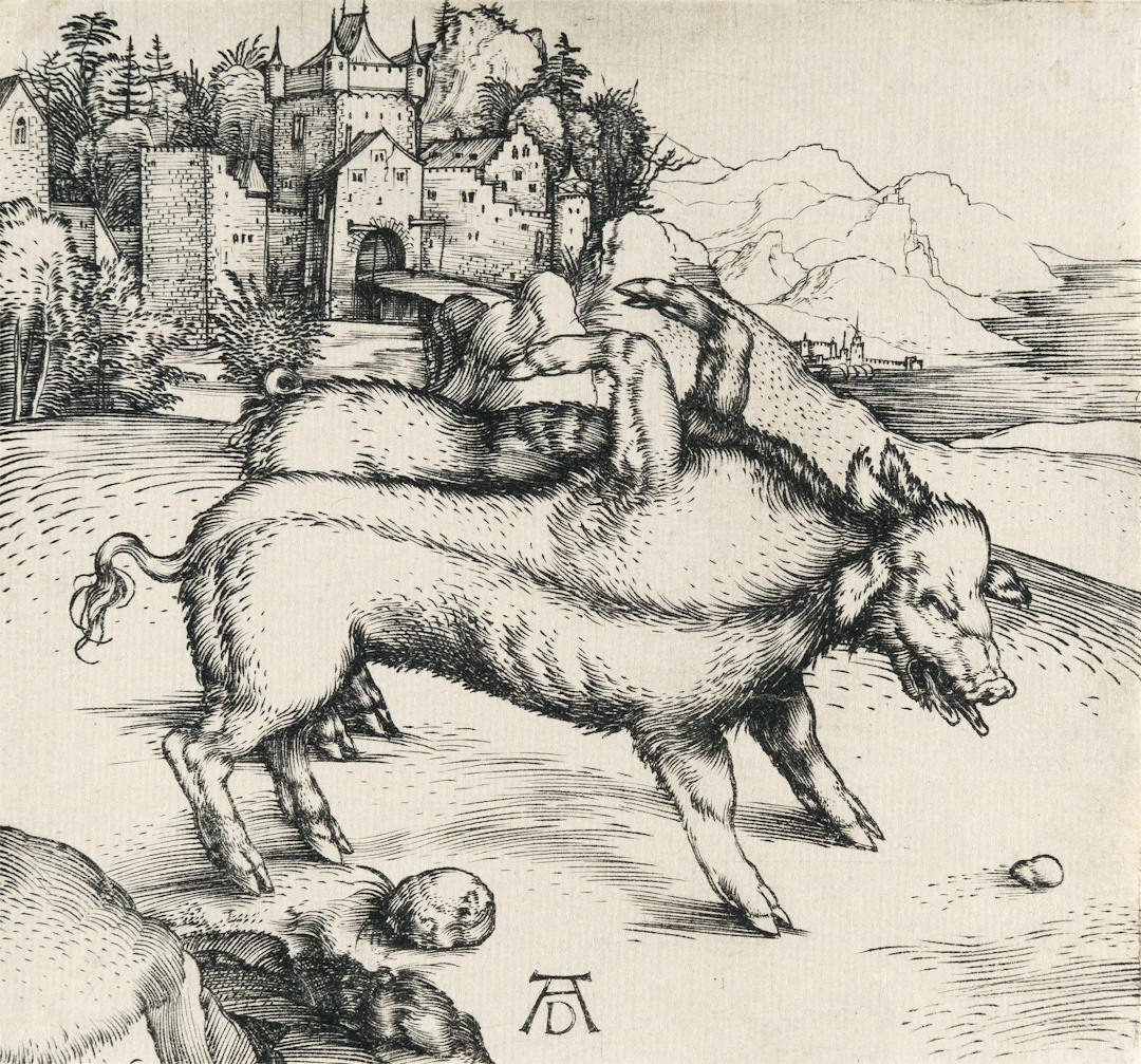 The Monstrous Pig of Landser Albrecht Dürer