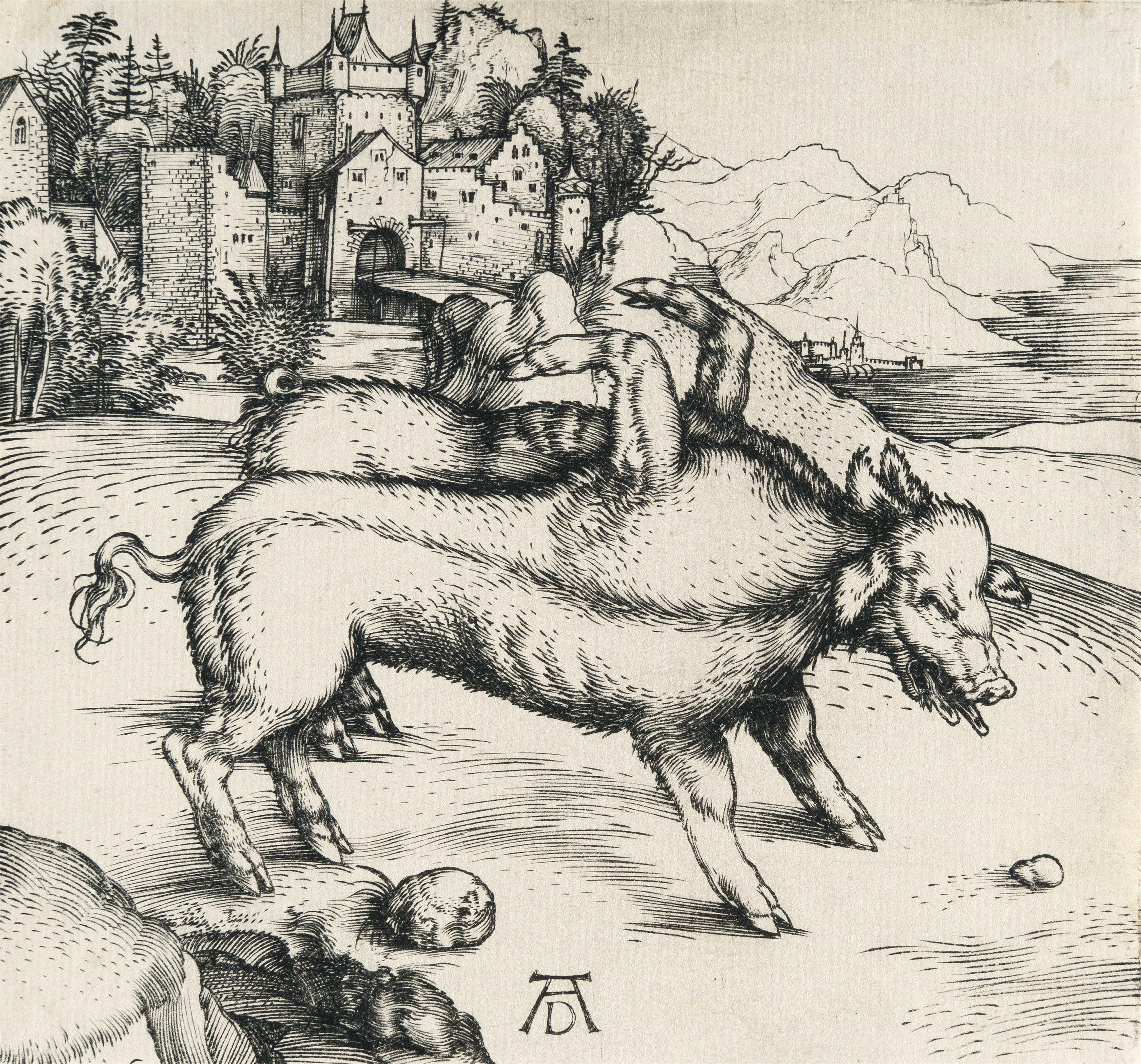 The Monstrous Pig of Landser Albrecht Dürer