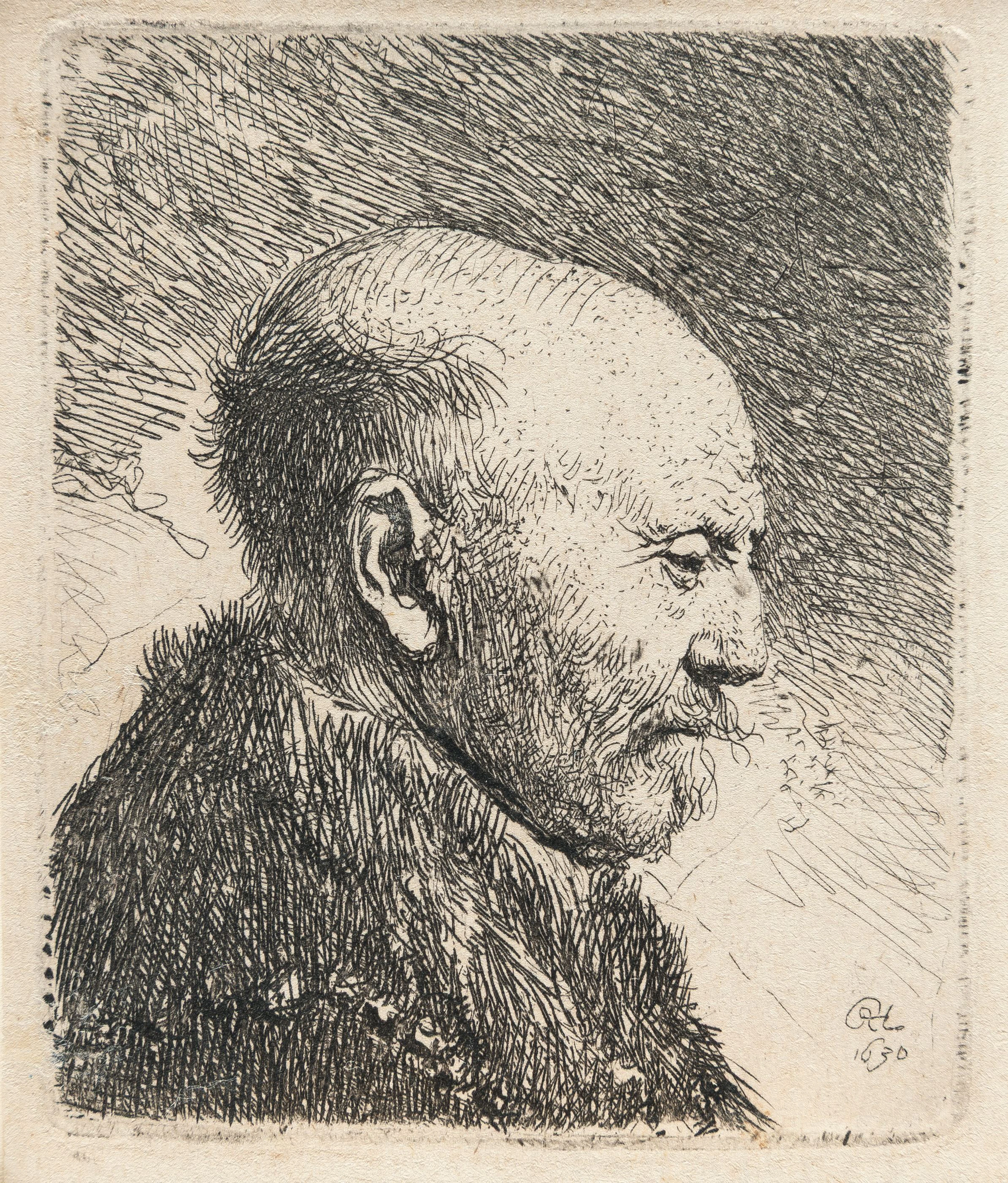 Bald Headed Man in Profile Right: the Artist's Father (?) Rembrandt