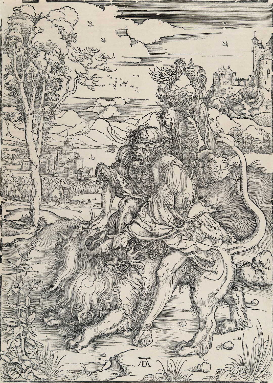 Samson Rending the Lion Albrecht Dürer