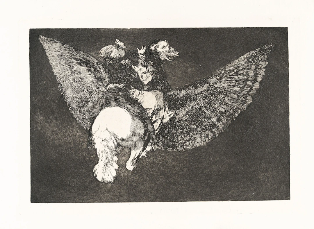 Disparate Volante Francisco de Goya