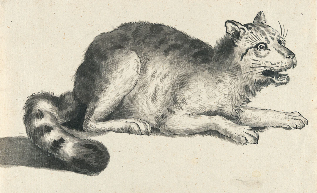 The Wild Cat Johann Heinrich Wilhelm Tischbein