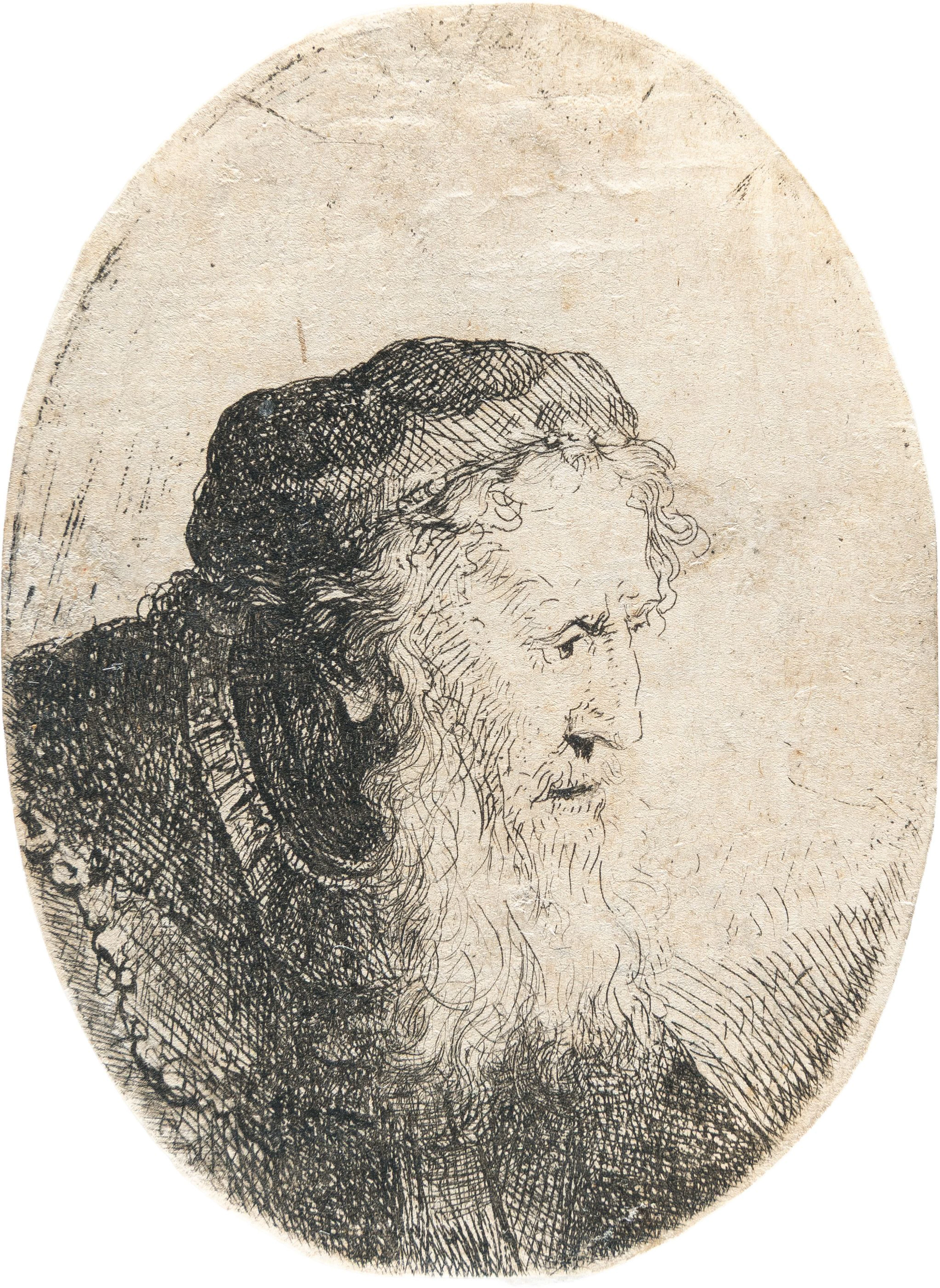 Bearded Old Man, in Profile to the Right Ferdinand Bol