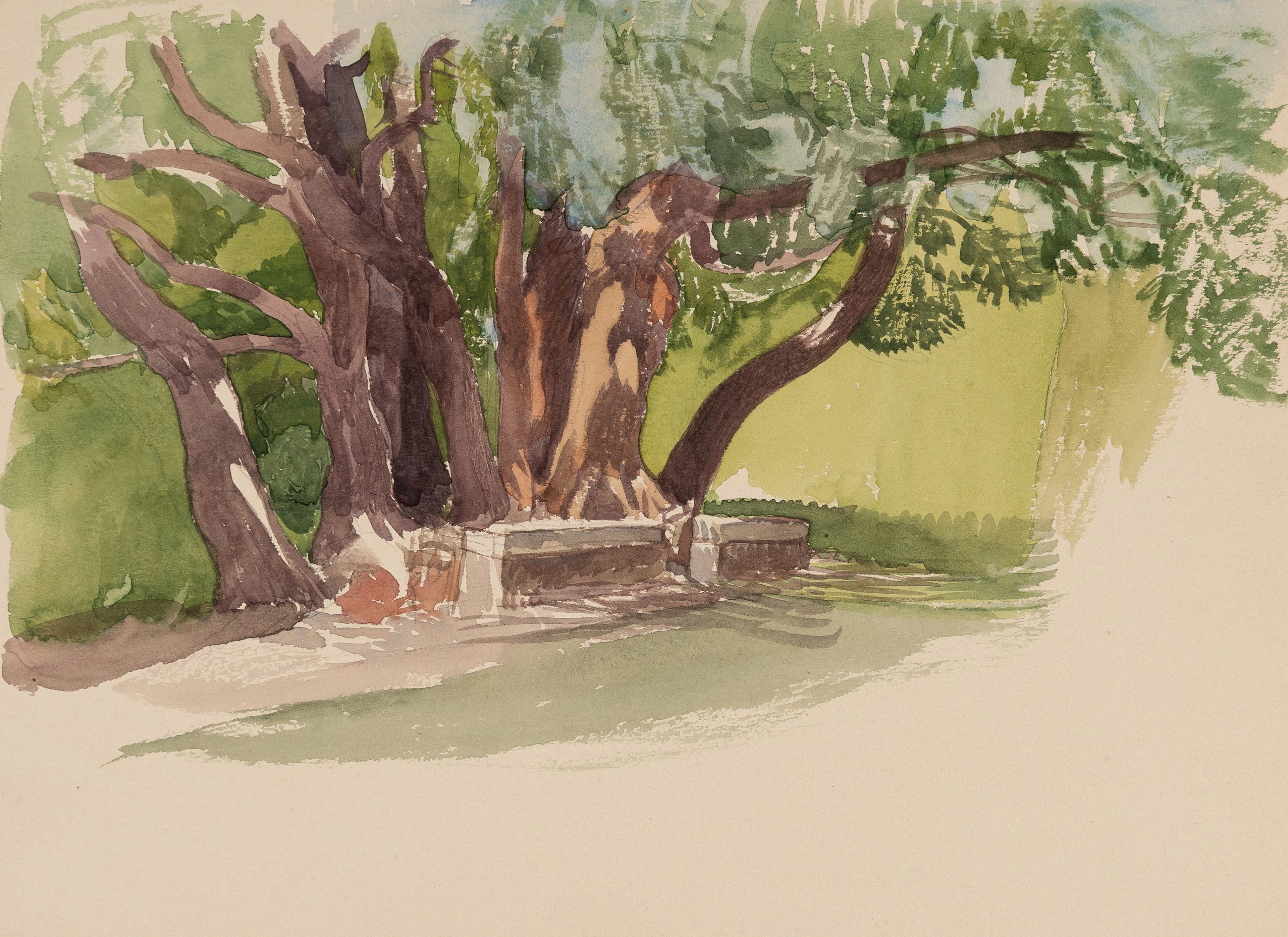 Baumstudie mit Steinbank Rudolf Jettmar