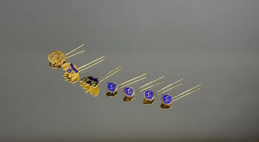 PINS, Bofors, Silver