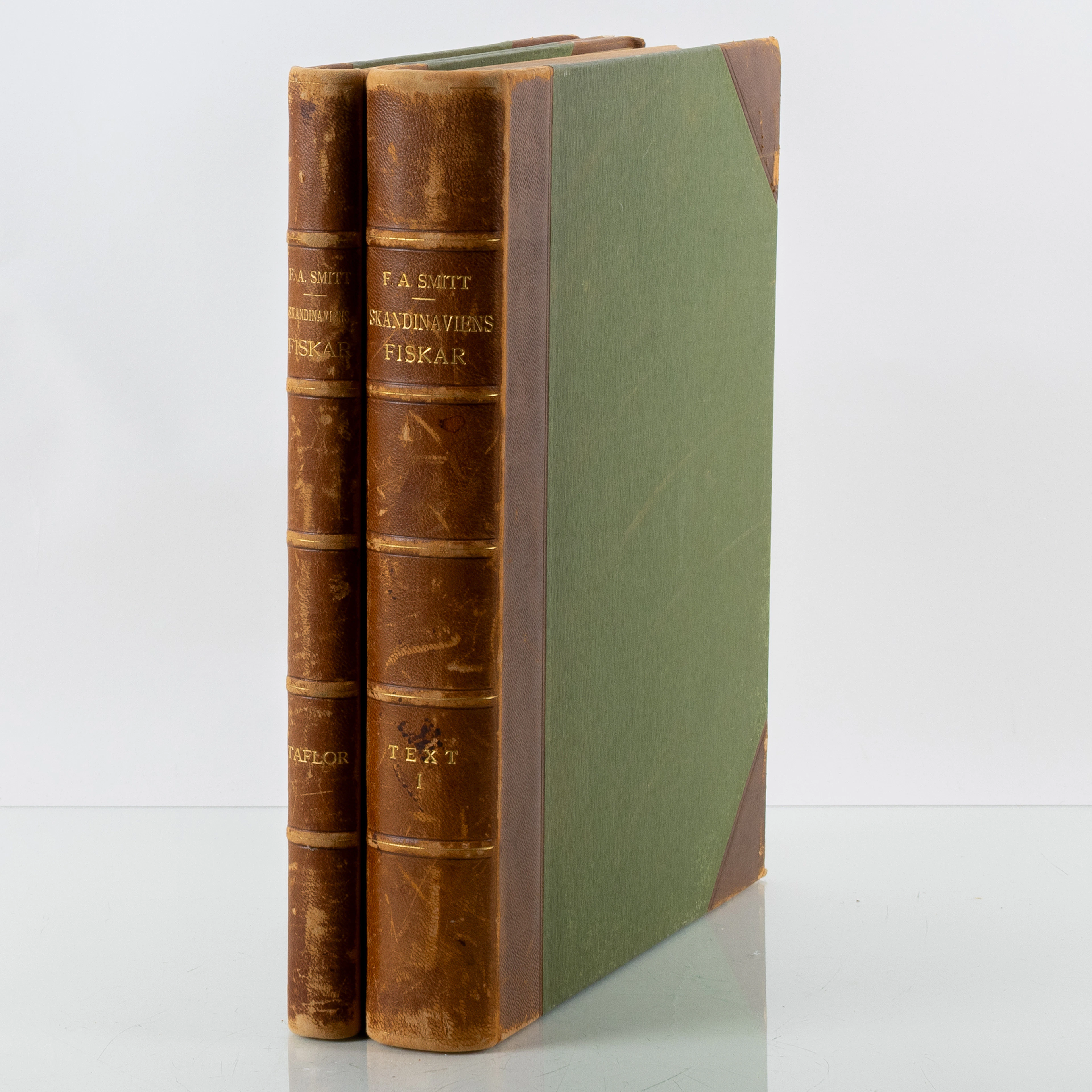 WILHELM VON WRIGHT, "Scandinavia's Fishes", seconda edizione, con 53