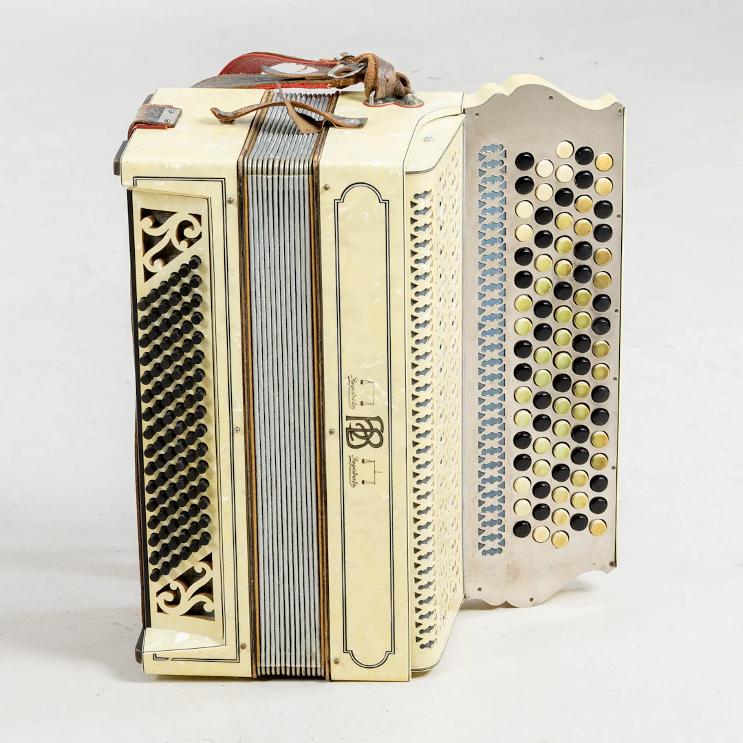 ACCORDION, Registrato, Italy