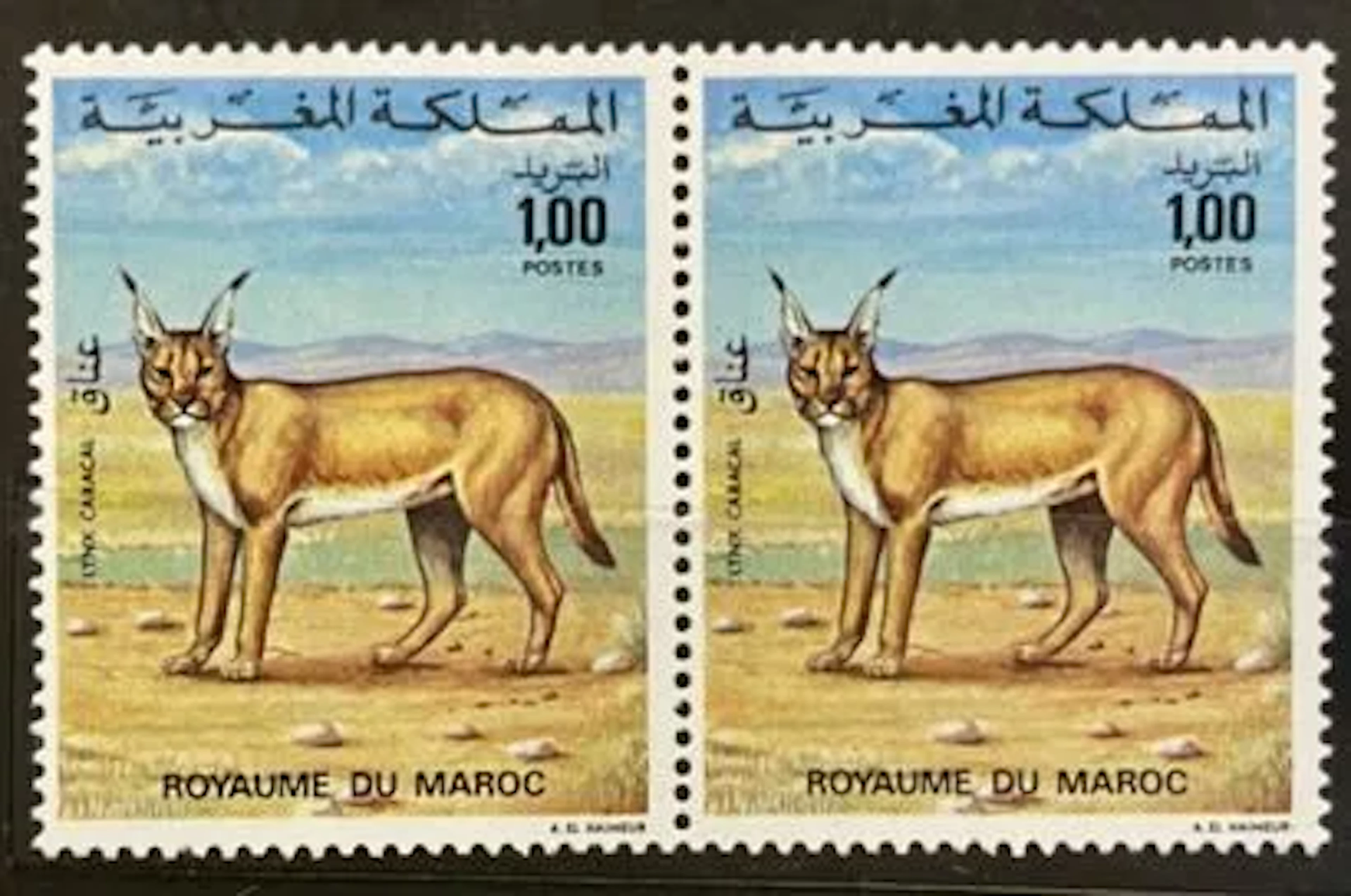 MOROCCO - Caracal, new pair - Lot 66