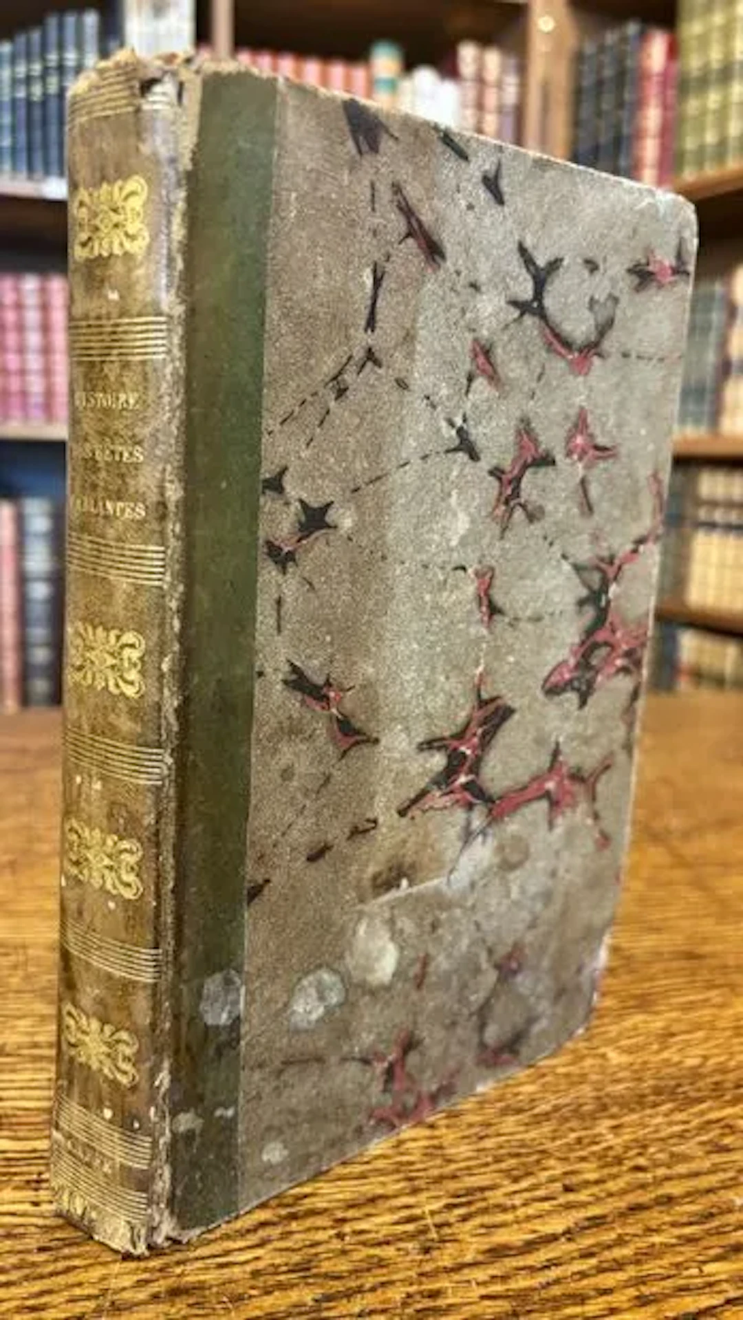 3e DIVISION D'INFANTERIE ALGÉRIENNE. — Livre d'or de la 3e D - Lot 9