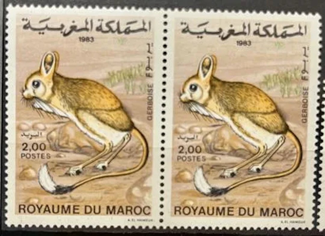 MAROC - Gerboise, faune, 1983 - Lot 53