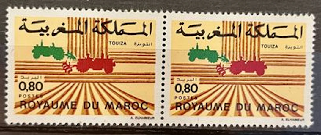MAROC - « Touiza », développement agricole, paire neuve - Lot 29