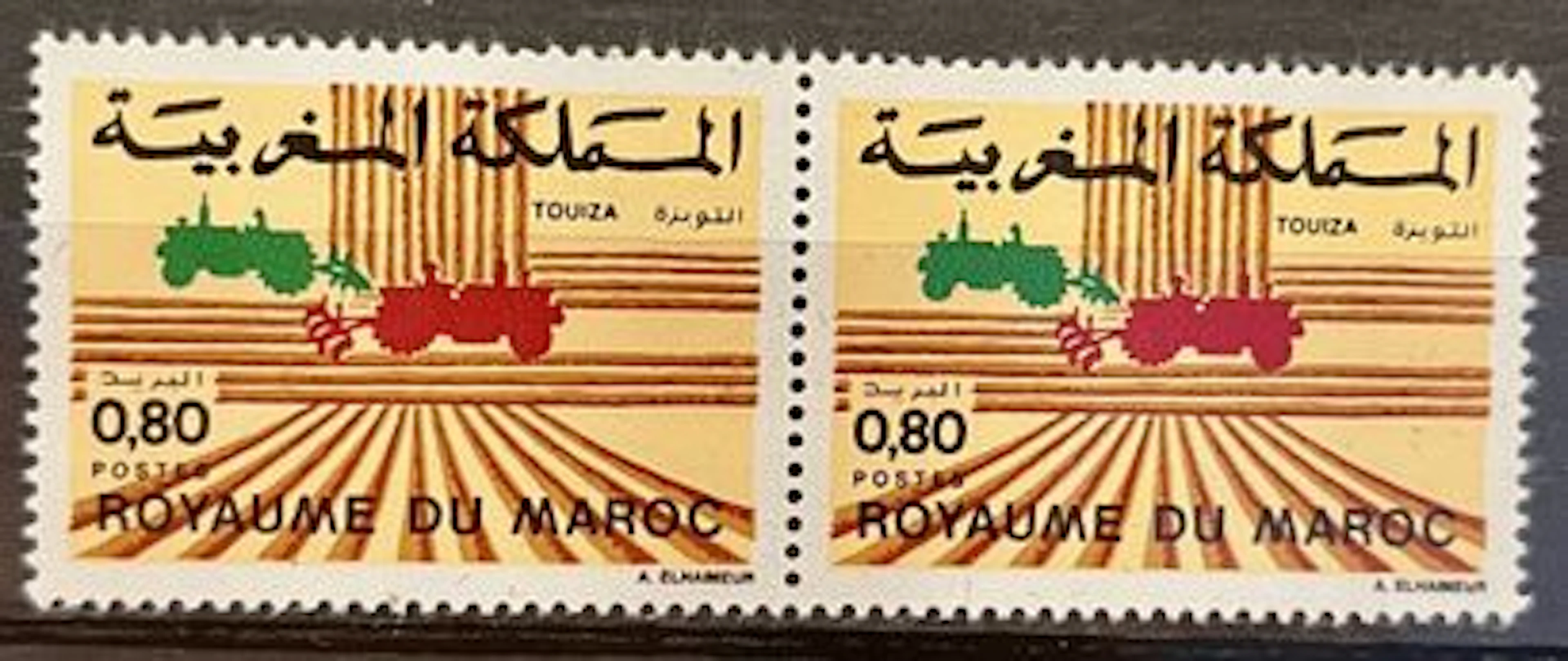MAROC - « Touiza », développement agricole, paire neuve - Lot 29