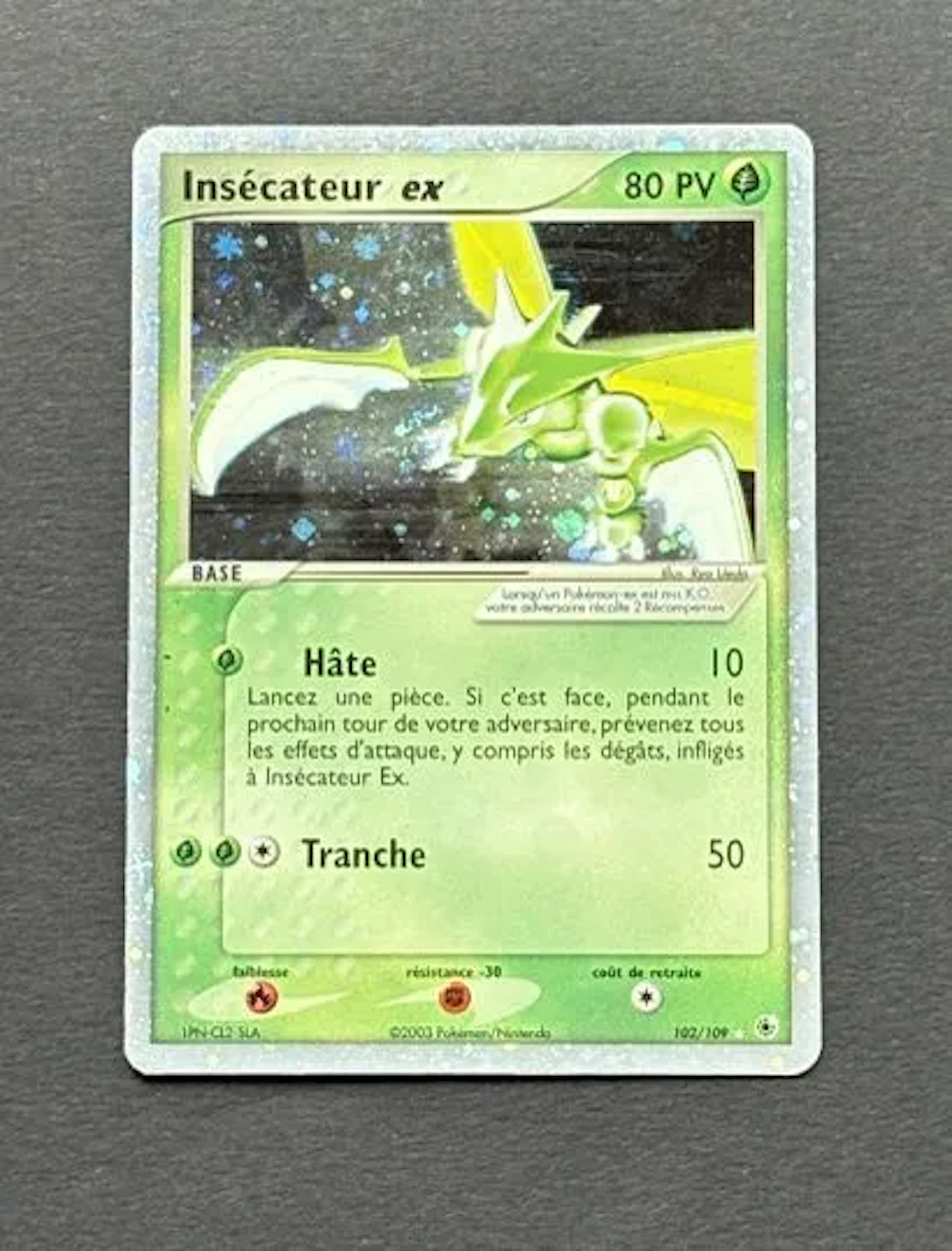 POKÉMON - Lot 23