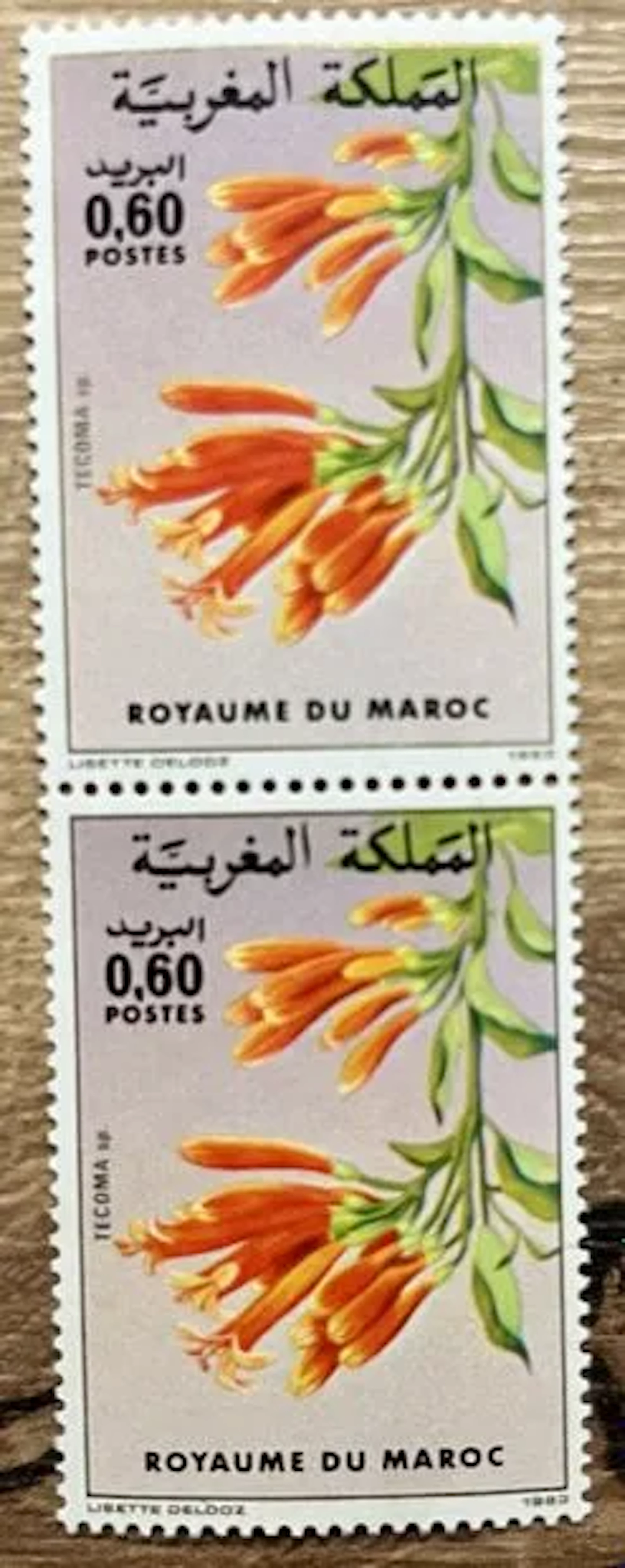 MAROC - Tecoma, fleurs, paire verticale, 1983 - Lot 83