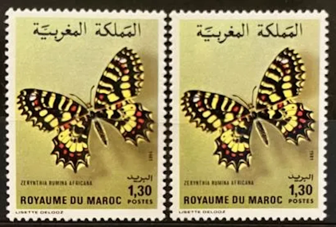 MAROC — PAPILLON — ZERYNTHIA RUMINA AFRICANA — 1,30 DH — 198 - Lot 265