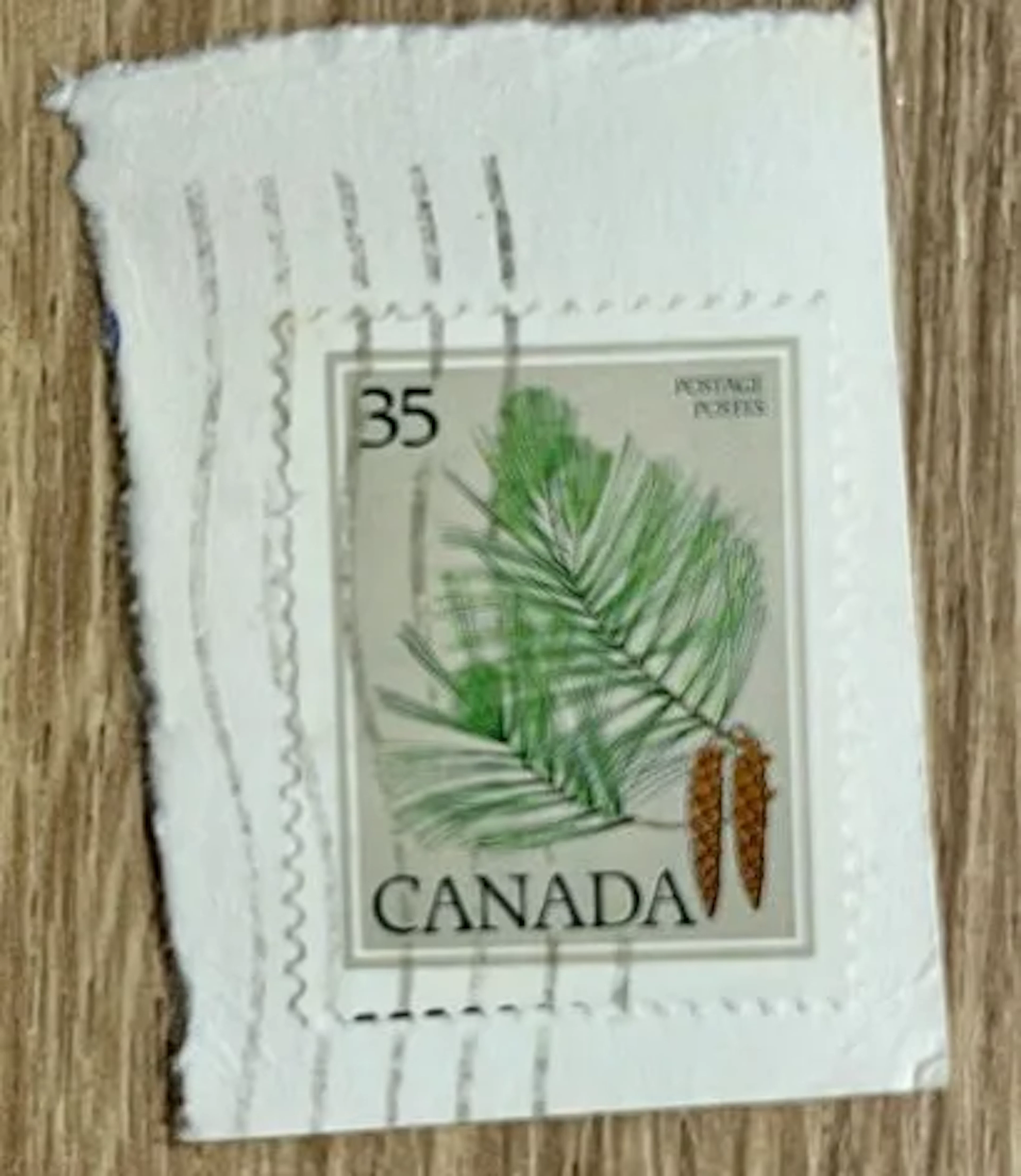 CANADA - Conifer, 35 cents - Lot 4