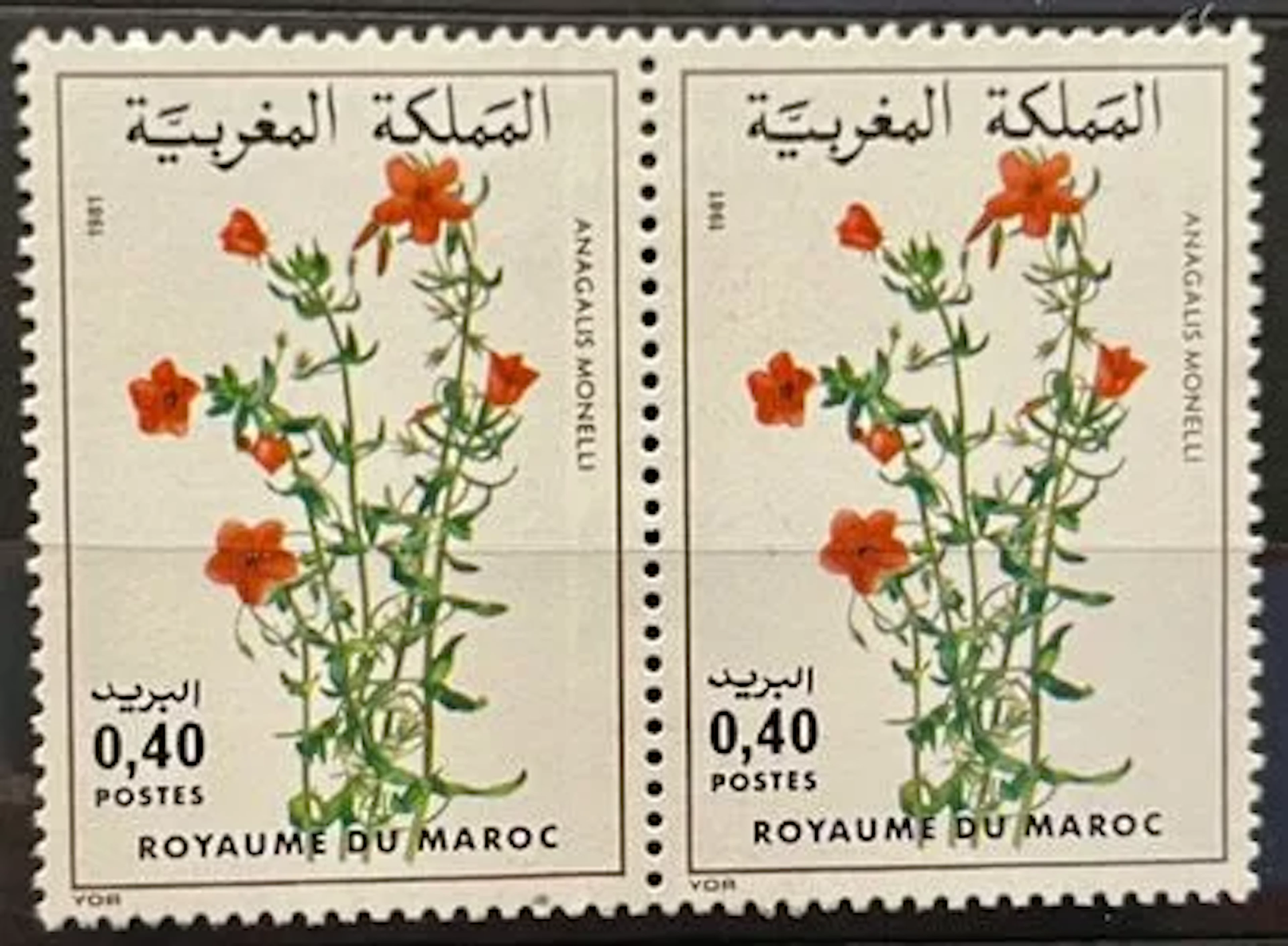 MOROCCO — FLORA: ANAGALLIS MONELLI — 1981 - Lot 165