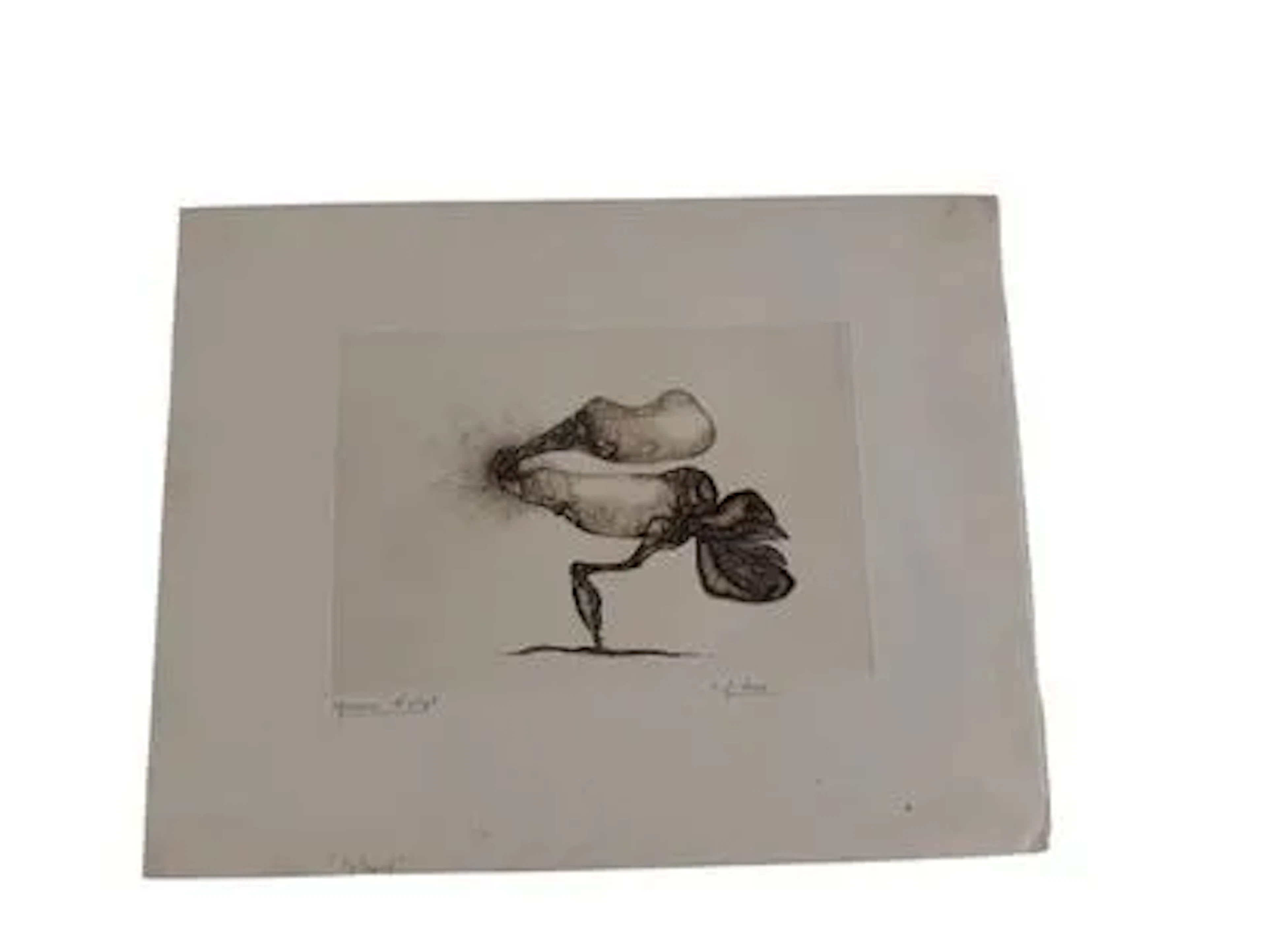 FRED DEUX (AFTER) - Lot 646