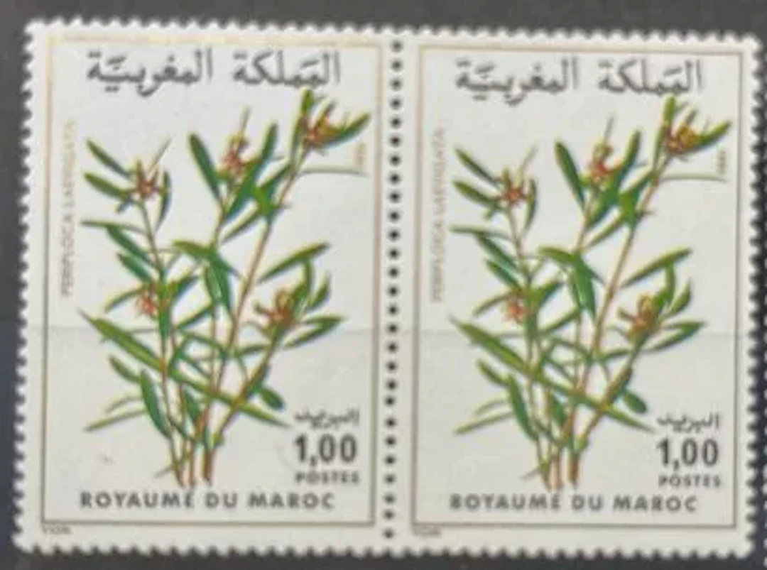 MOROCCO — FLORA: PERIPLOCA LAEVIGATA — 1981 - Lot 167