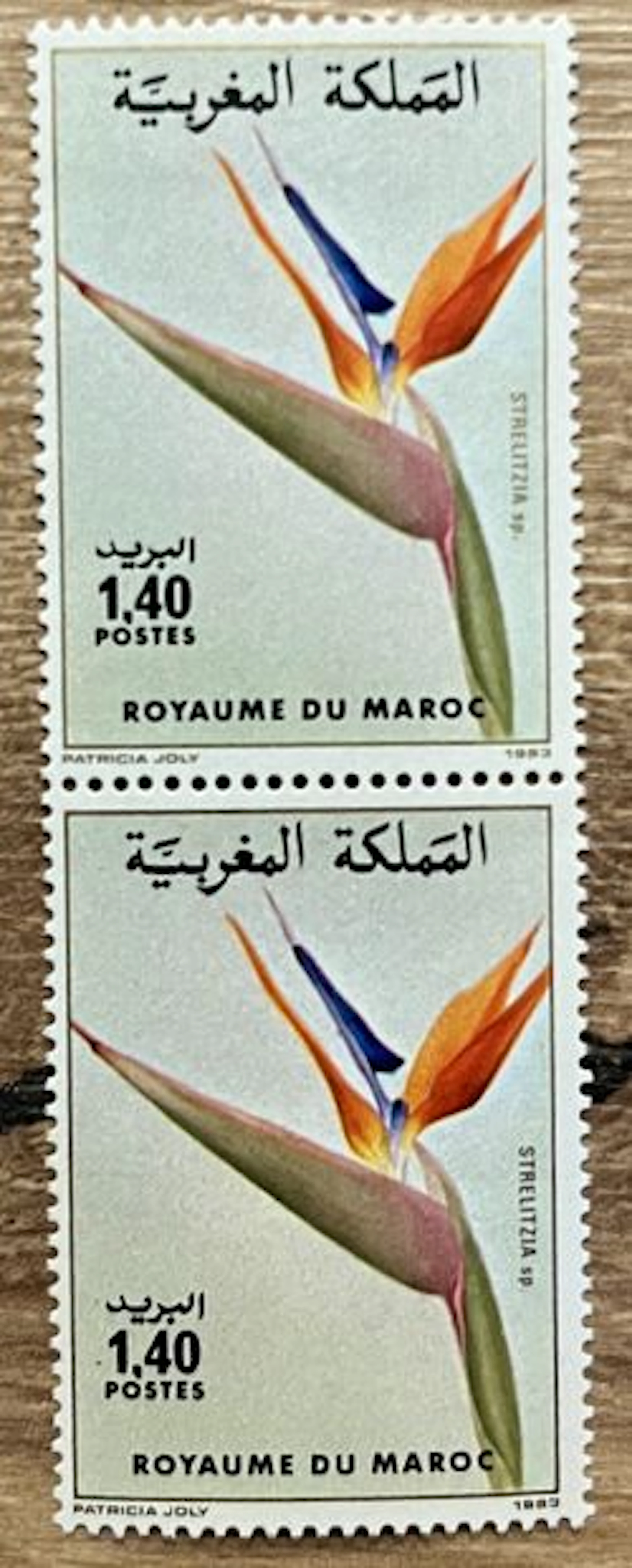 MAROC — FLORE — STRELITZIA SP. — 1,40 DH — 1983 - Lot 163
