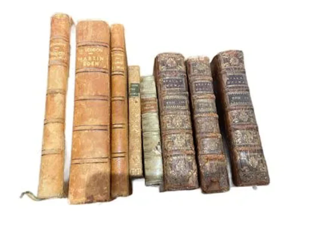 LOT OF ANTIQUE BOOKS - Lot 395