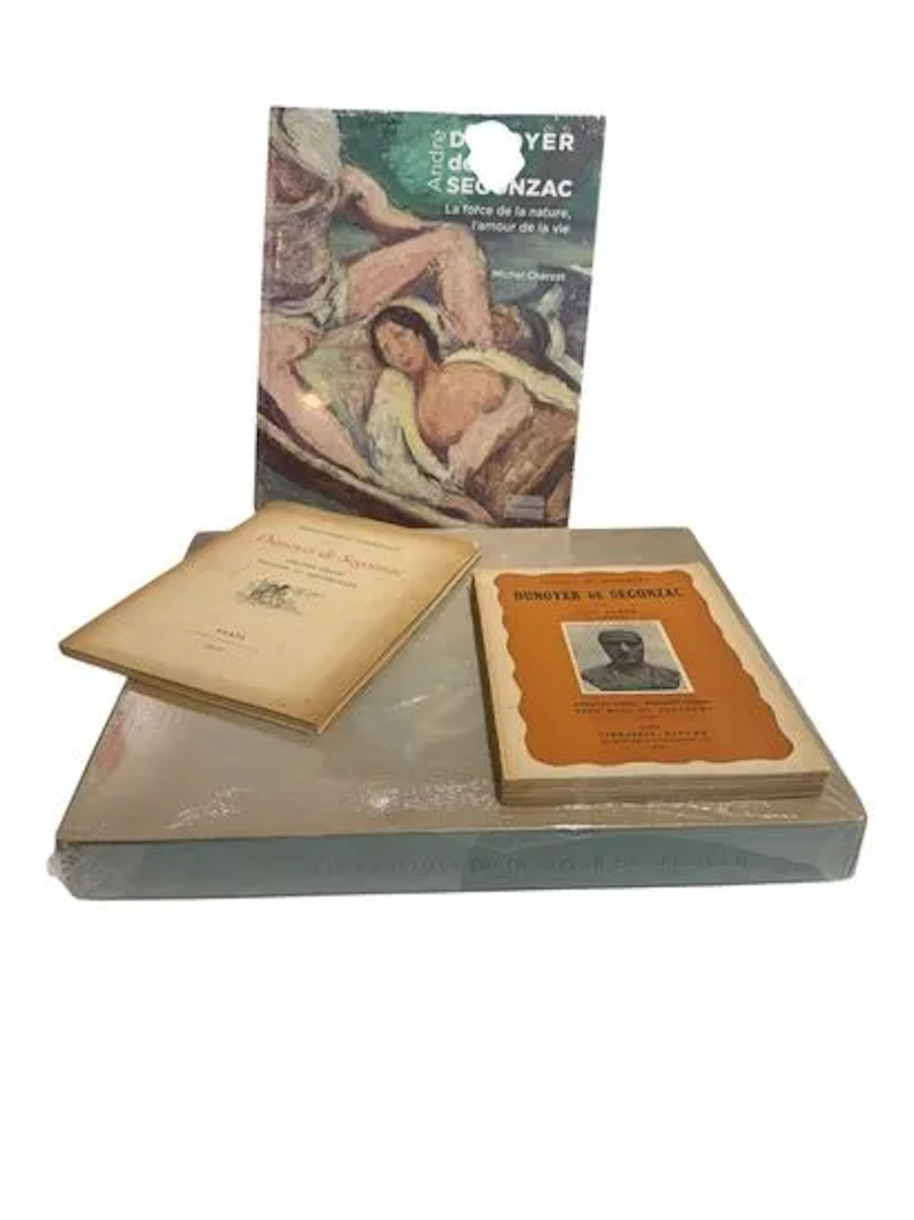 ANDRE DUNOYER DE SEGONZAC - Lot 245