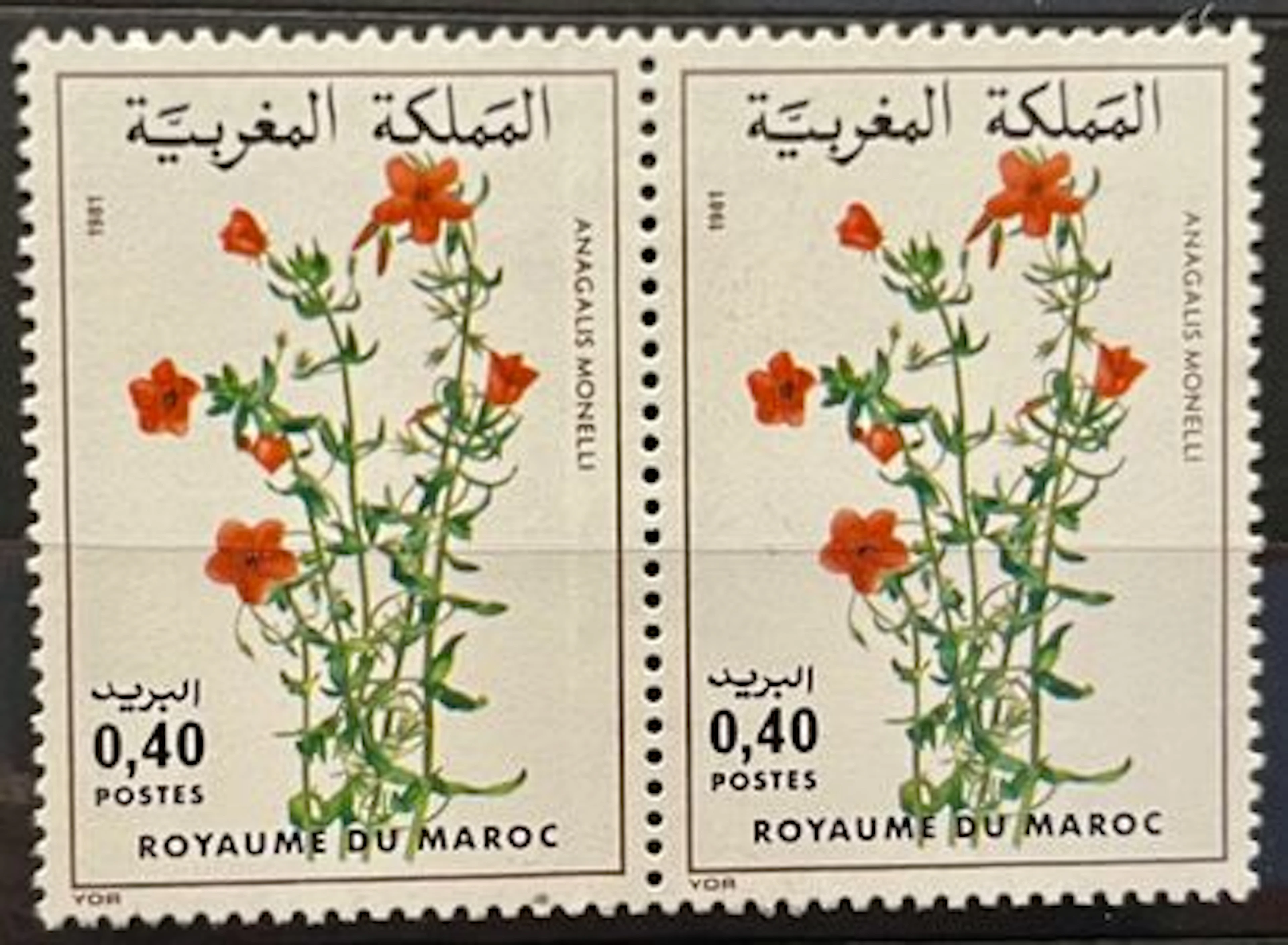 MAROC — FLORE : ANAGALLIS MONELLI — 1981 - Lot 165