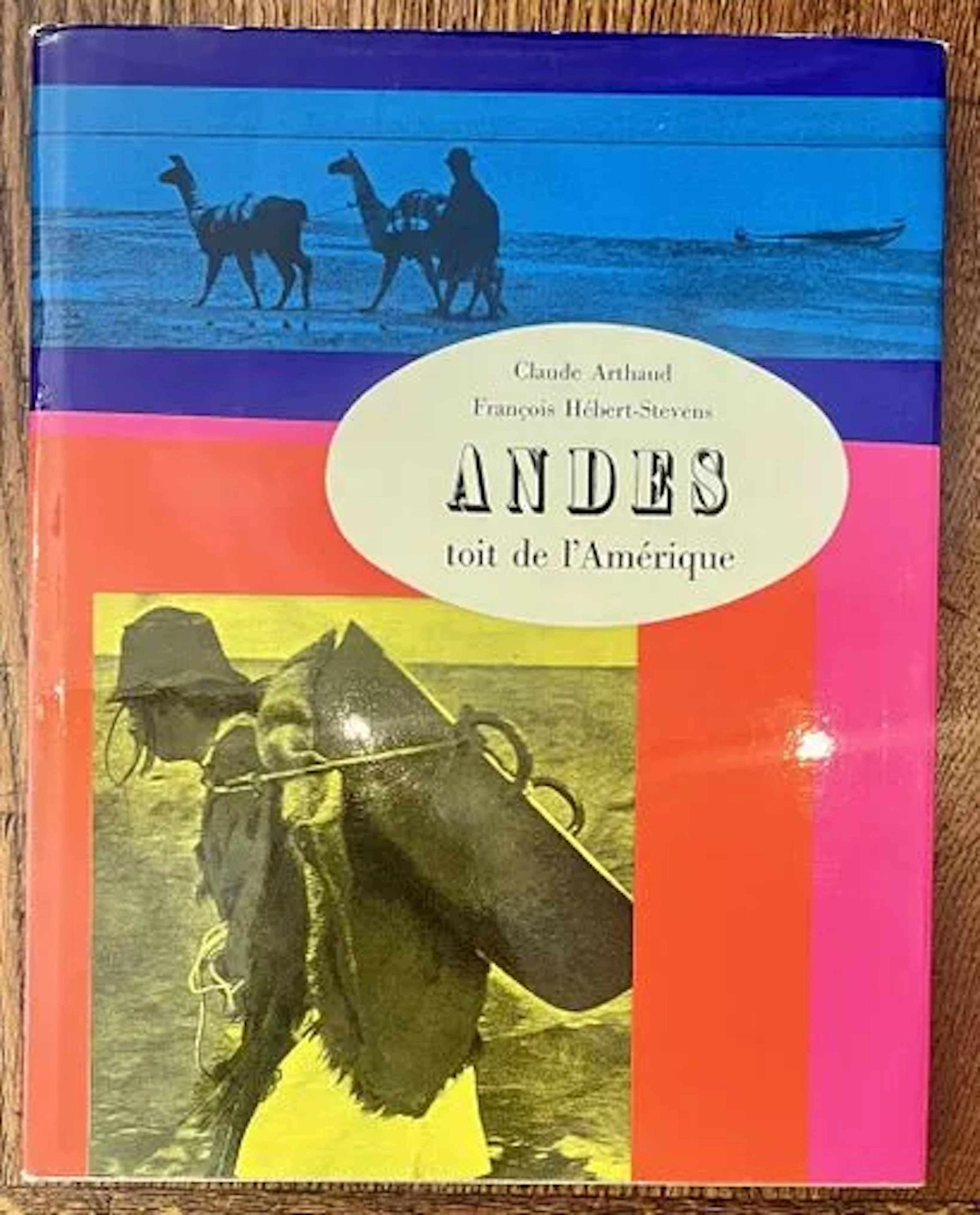 ARTHAUD (Claude) & HÉBERT-STEVENS (François) — The Andes - Lot 21