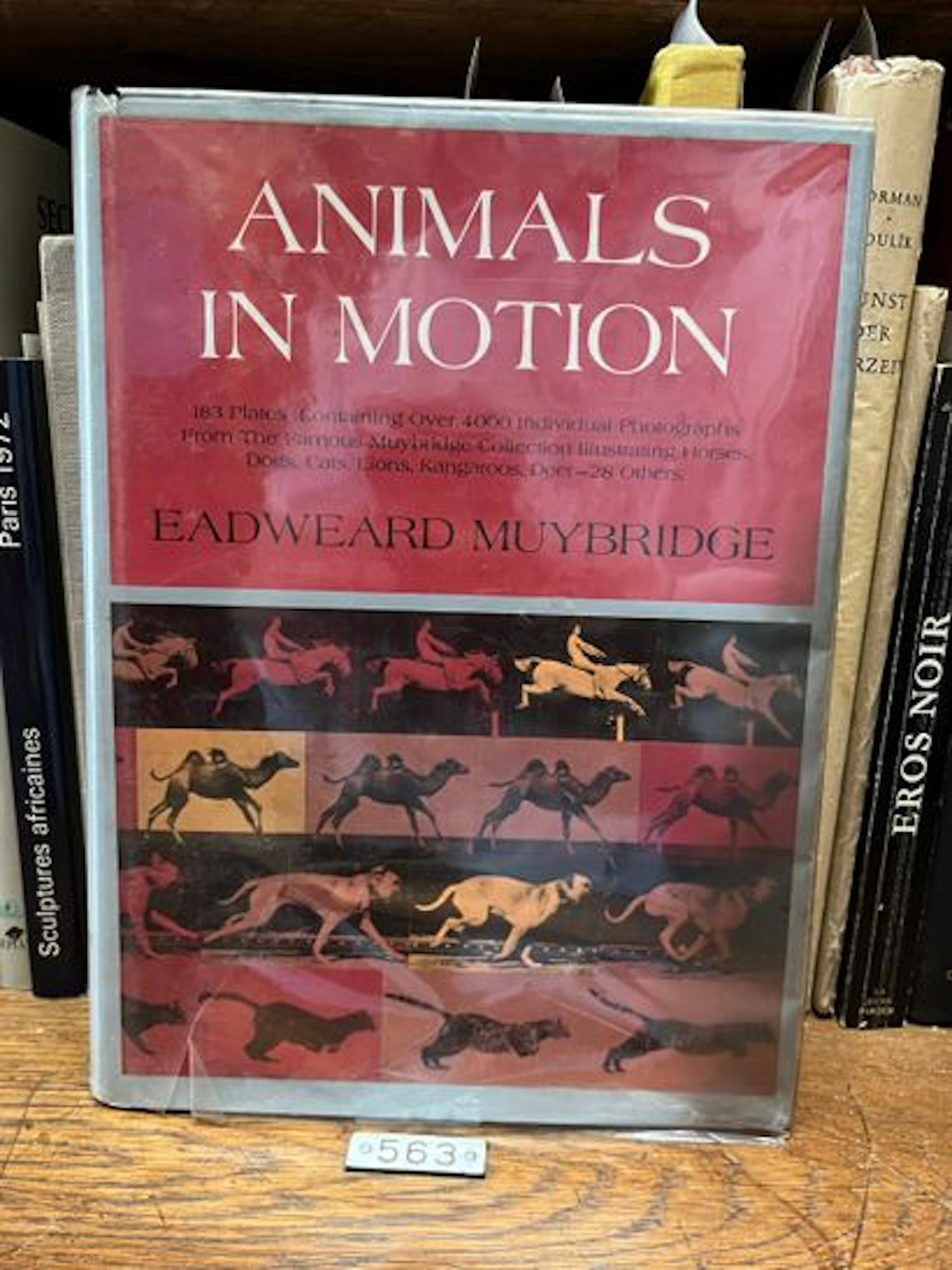 MUYBRIDGE (Eadweard). Animals in Motion. - Lot 226