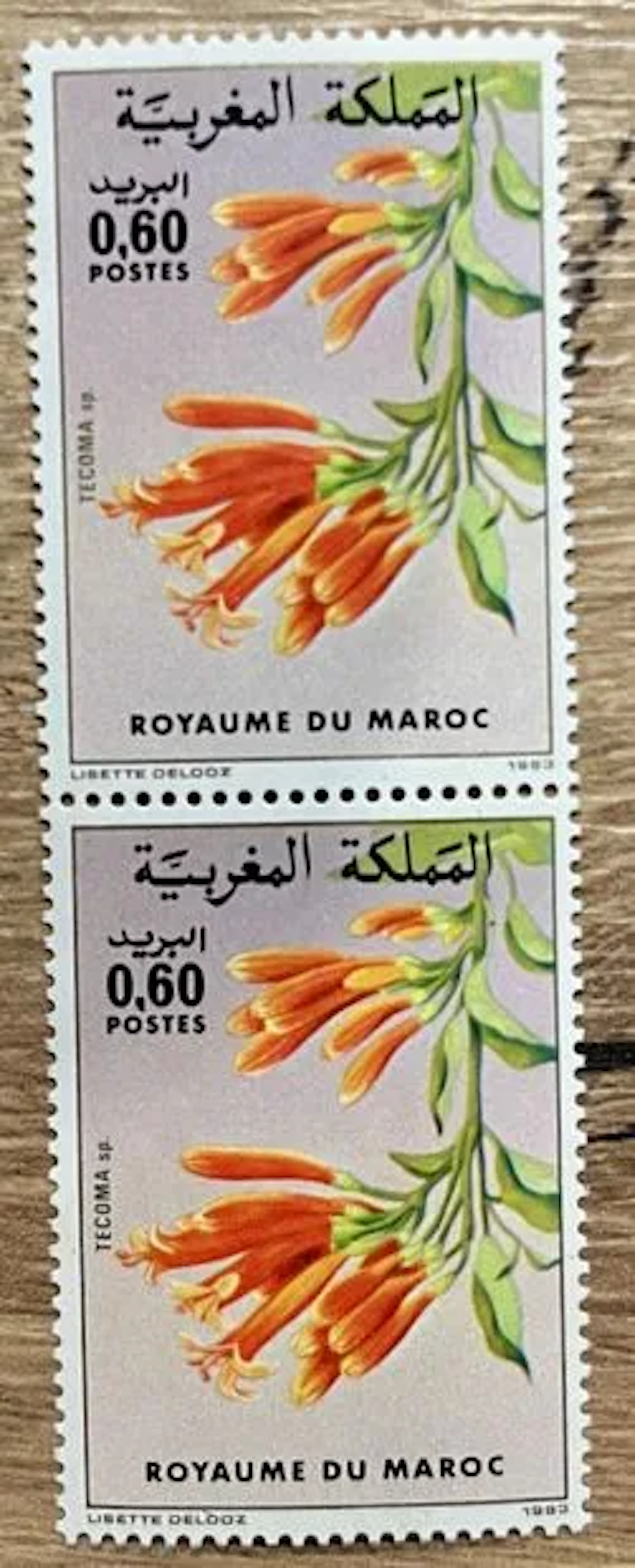 MOROCCO — FLORA — TECOMA SP. — 0.60 DH — 1983 - Lot 164
