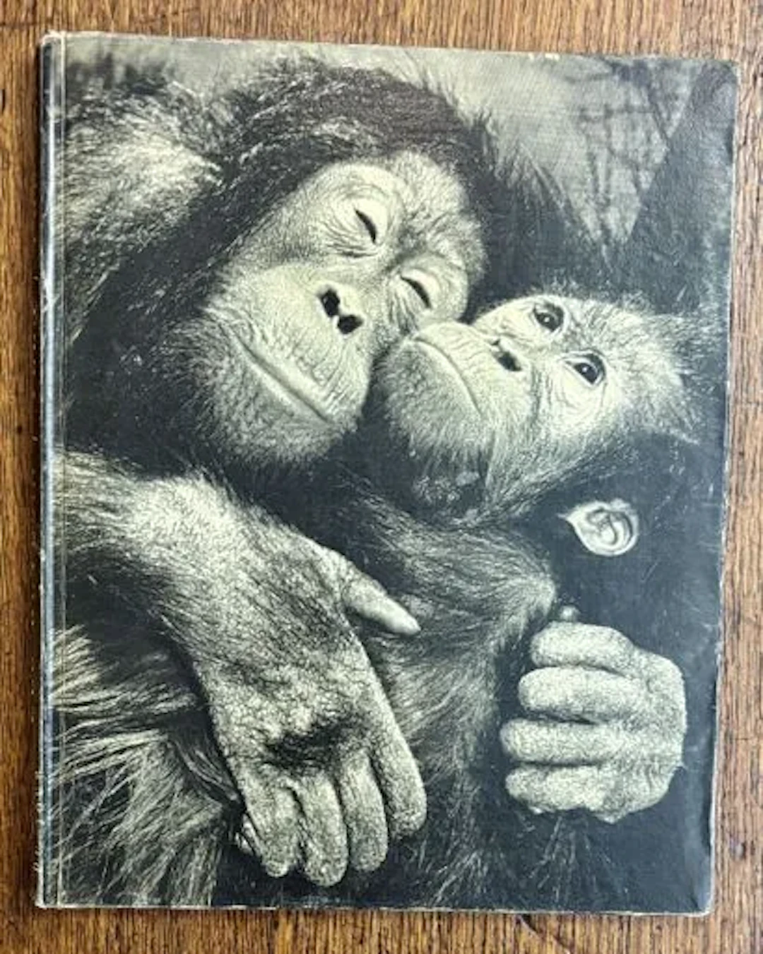 YLLA / PRÉVERT (Jacques) — DES BÊTES… - Lot 307