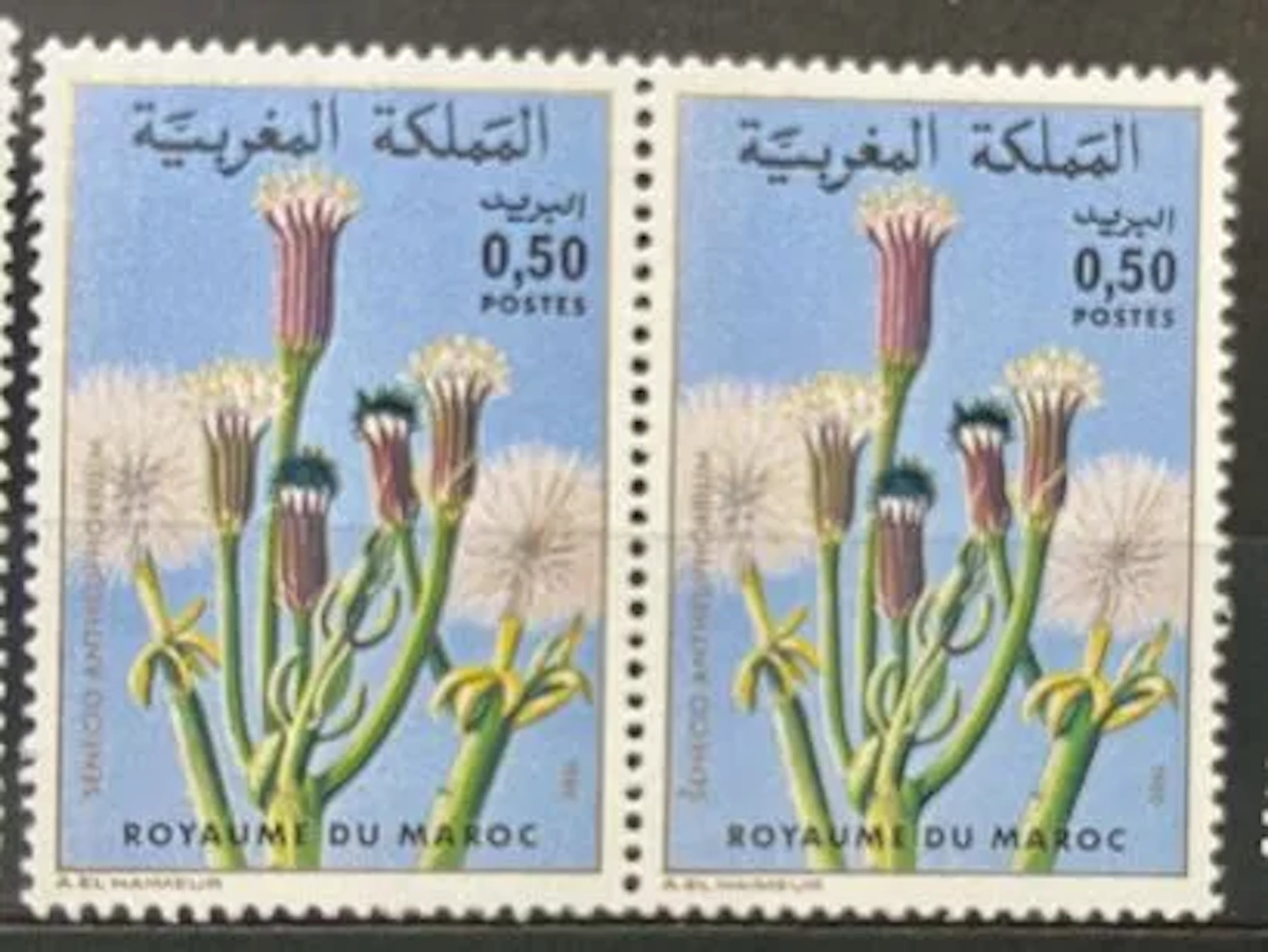 MAROC — FLORE : SENECIO ANTEUPHORBIUM — 1981 - Lot 168